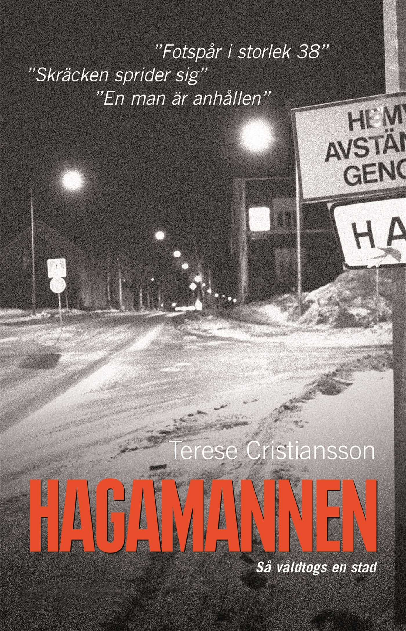 Hagamannen : så våldtogs en stad – E-bok