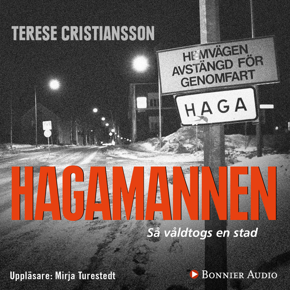 Hagamannen : så våldtogs en stad – Ljudbok
