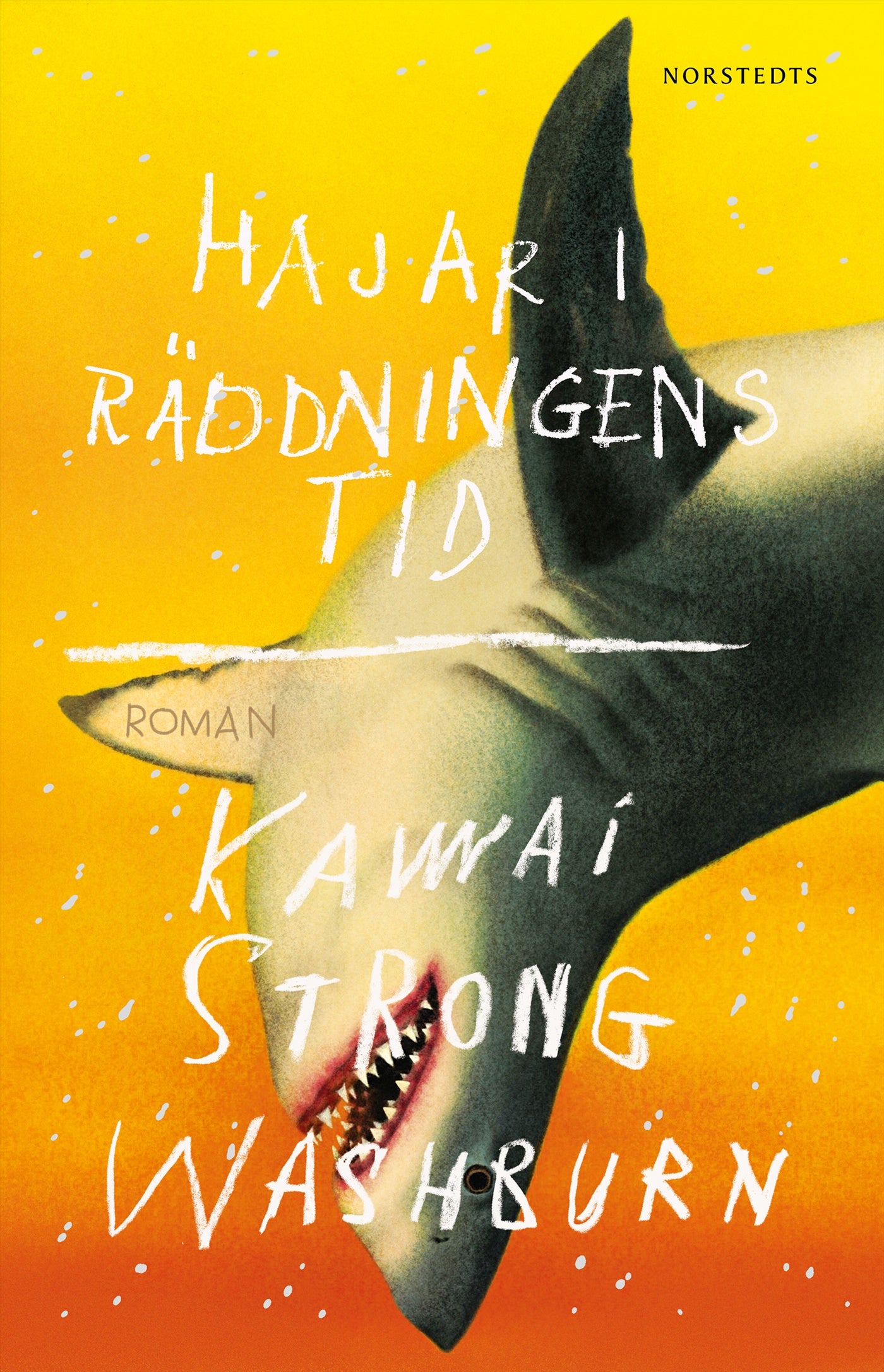 Hajar i räddningens tid – E-bok
