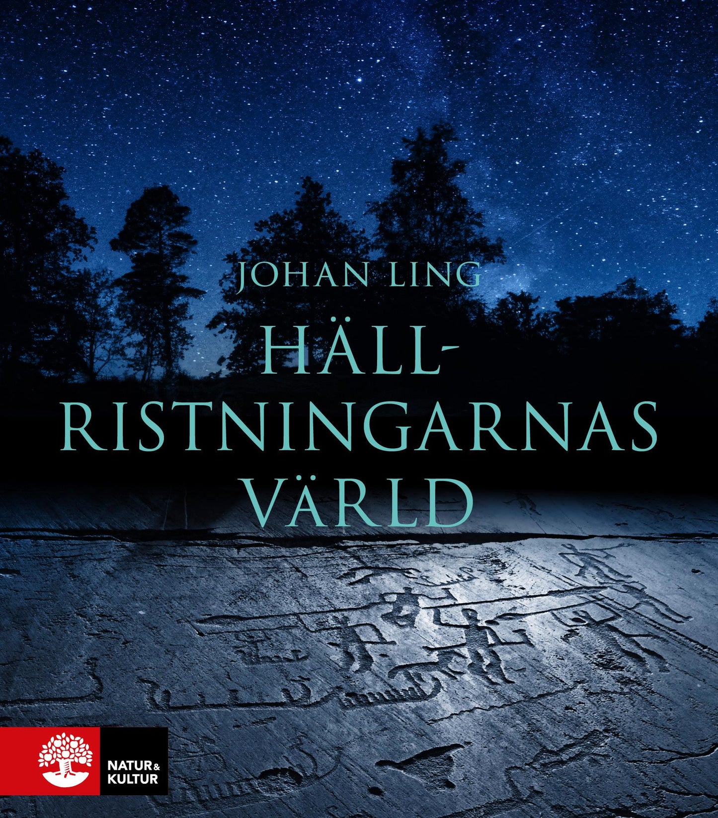 Hällristningarnas värld – E-bok
