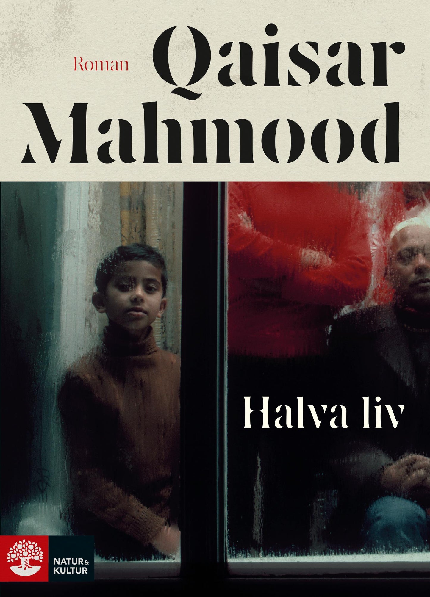 Halva liv – E-bok