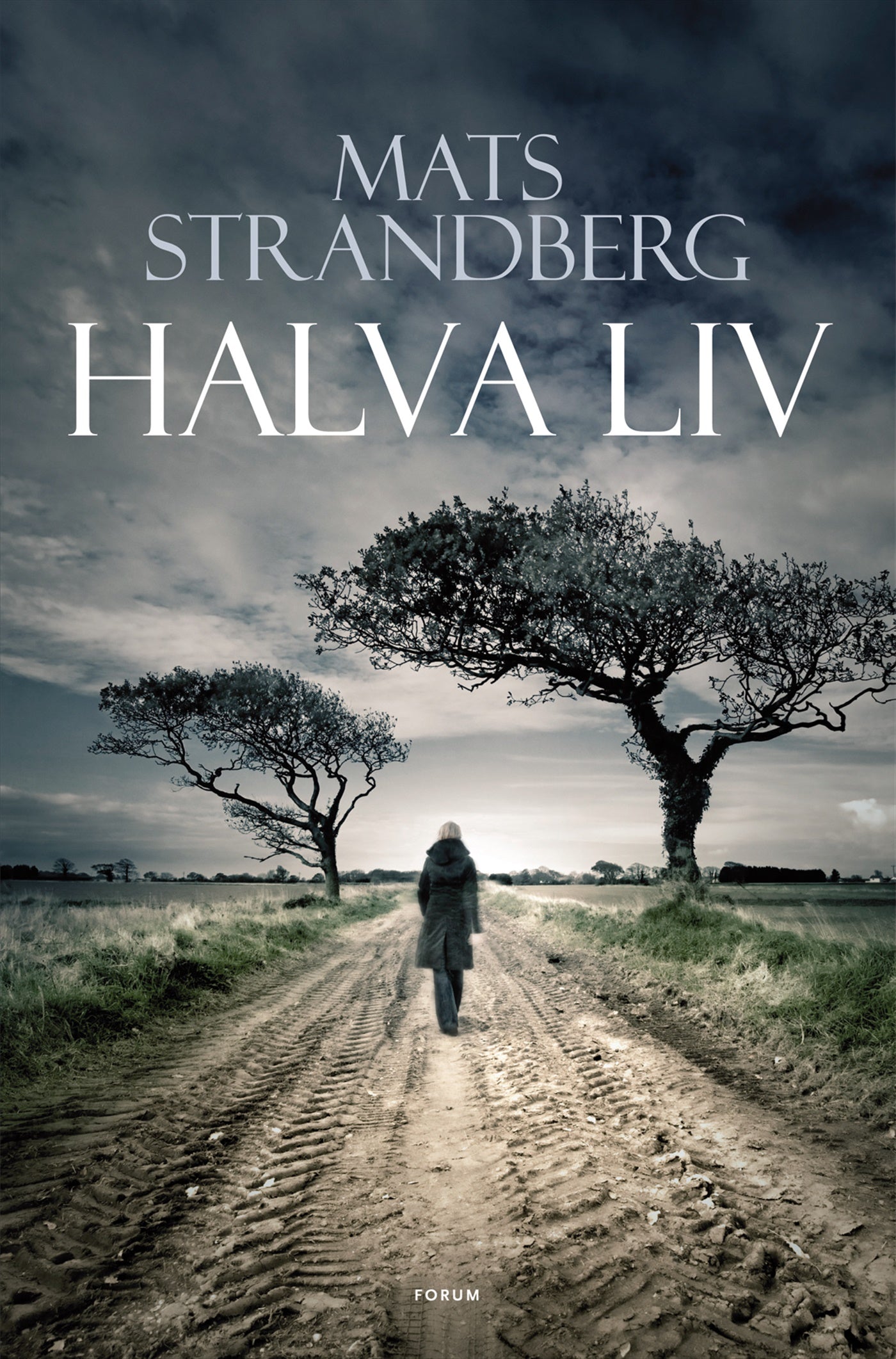Halva liv – E-bok