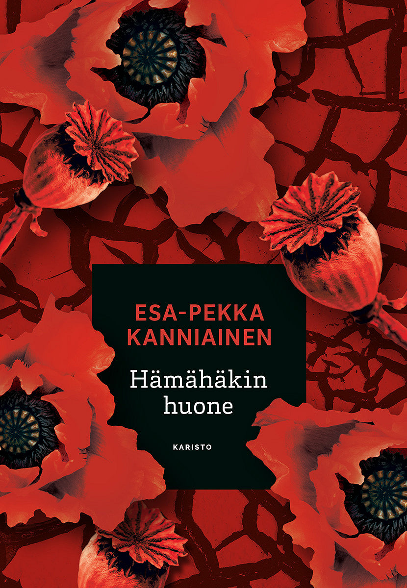 Hämähäkin huone – E-bok