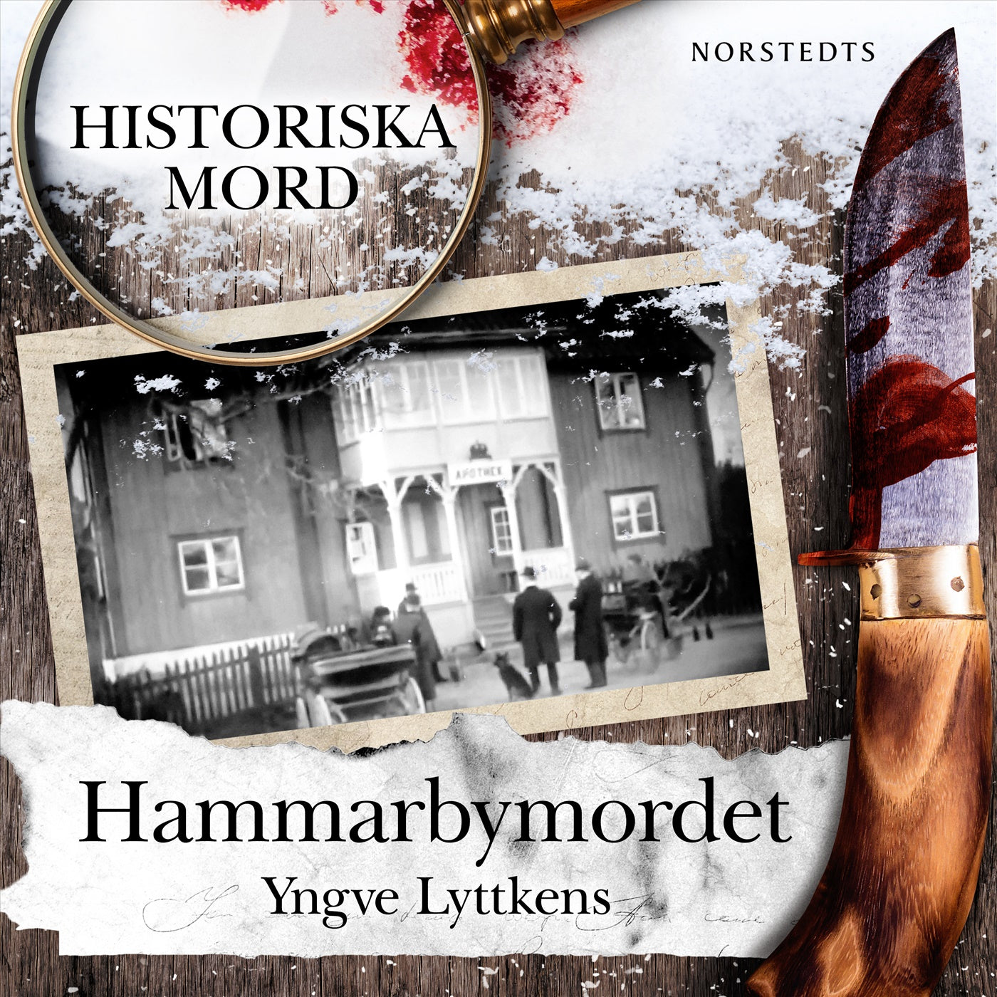 Hammarbymordet : Historiska mord del 5 – Ljudbok
