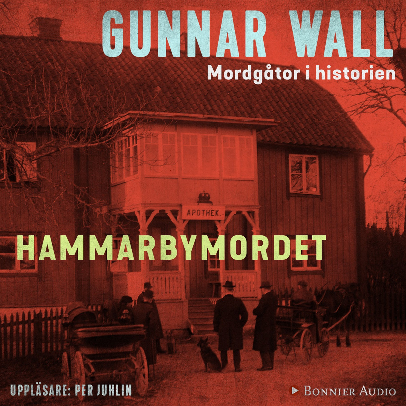 Hammarbymordet – Ljudbok