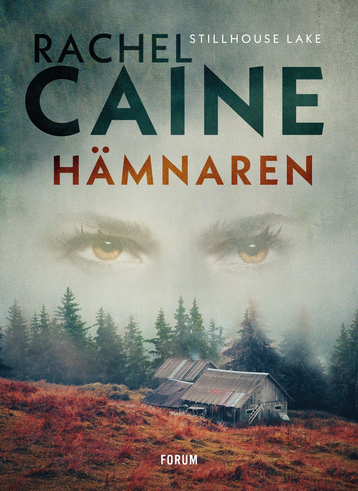 Hämnaren – E-bok
