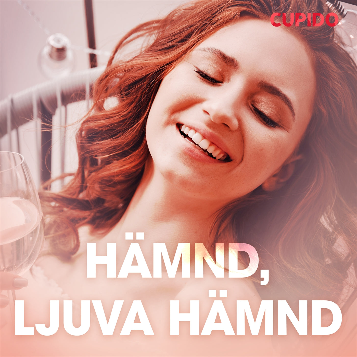 Hämnd, ljuva hämnd - erotiska noveller – Ljudbok