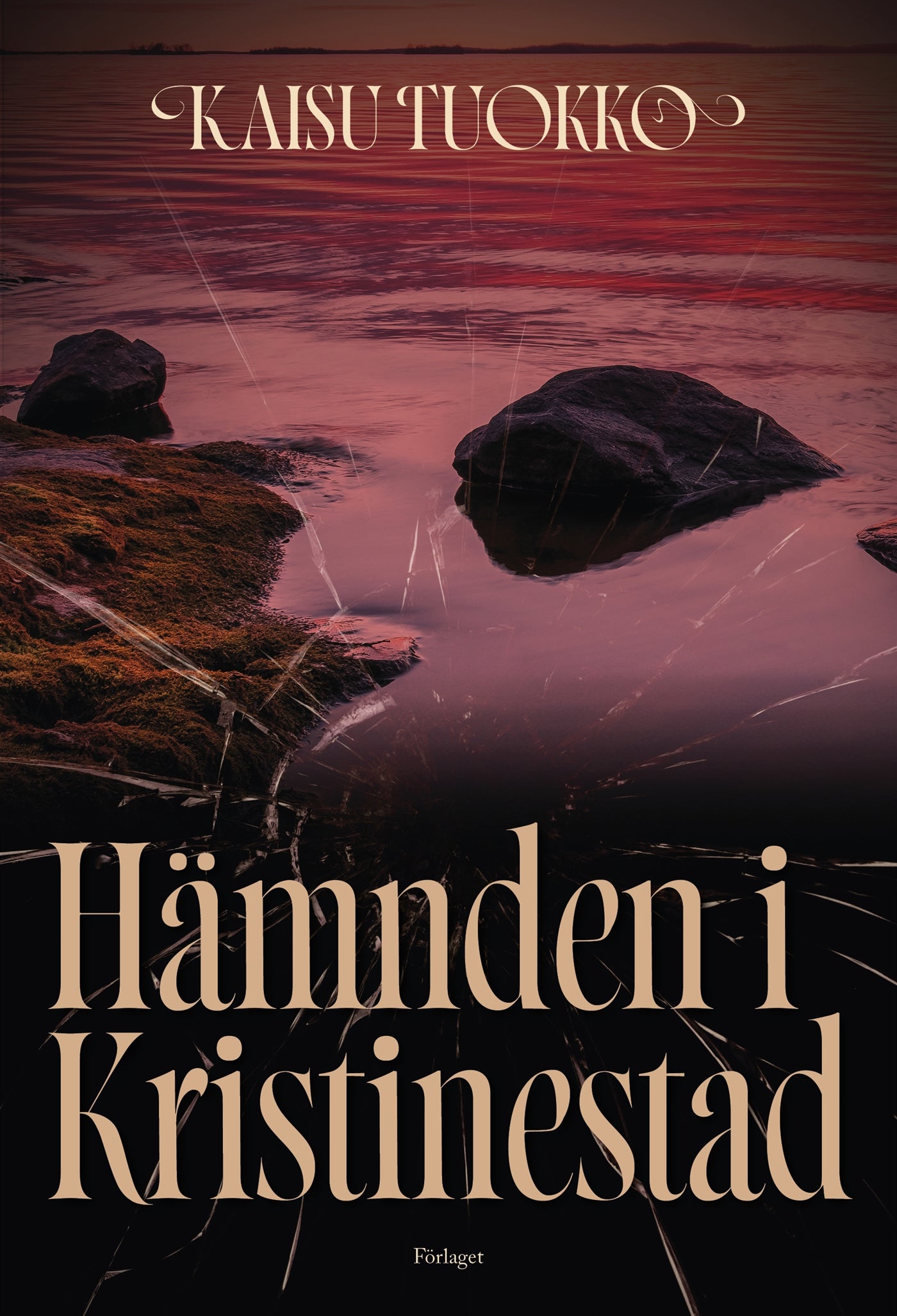 Hämnden i Kristinestad – E-bok