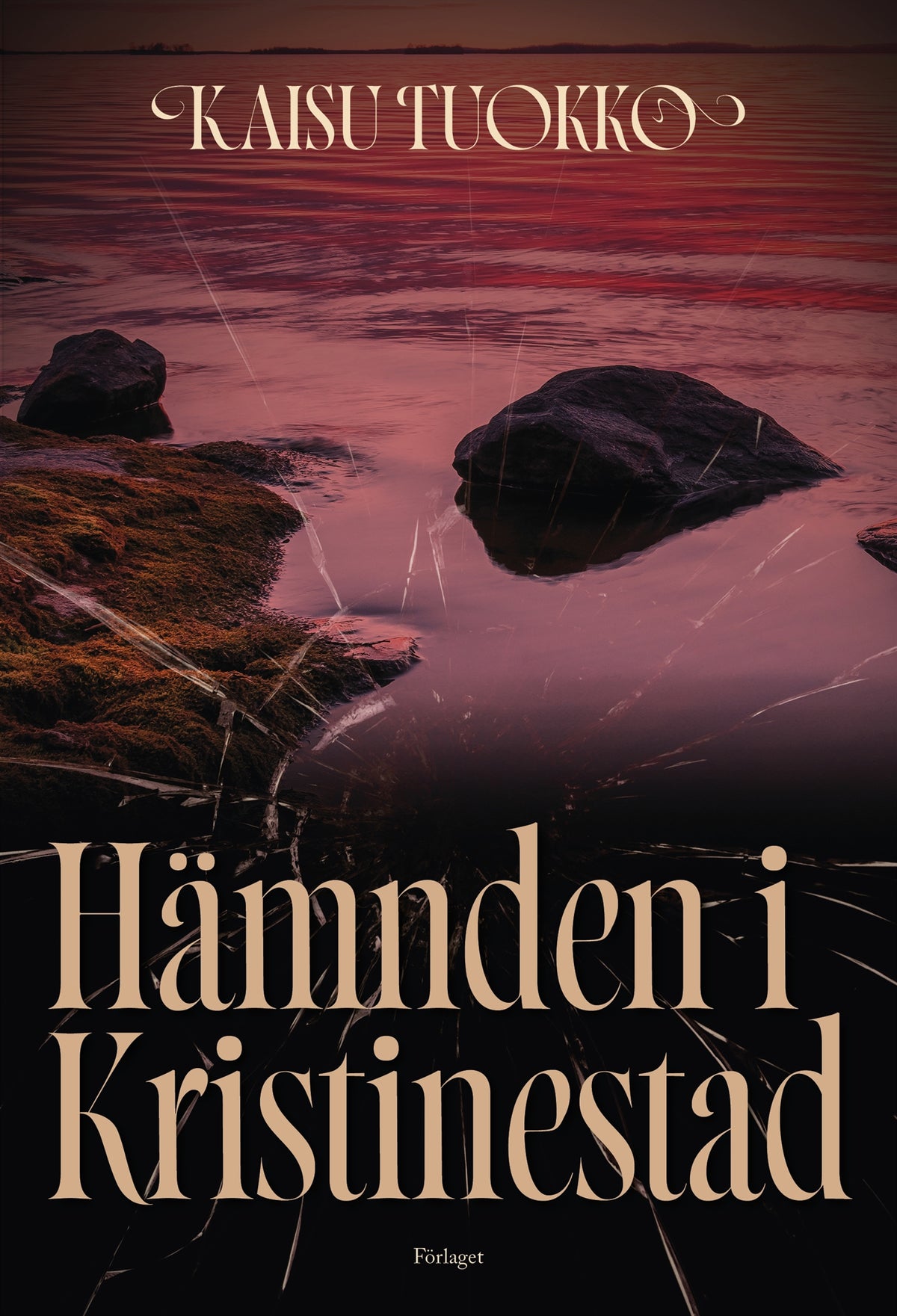 Hämnden i Kristinestad – E-bok