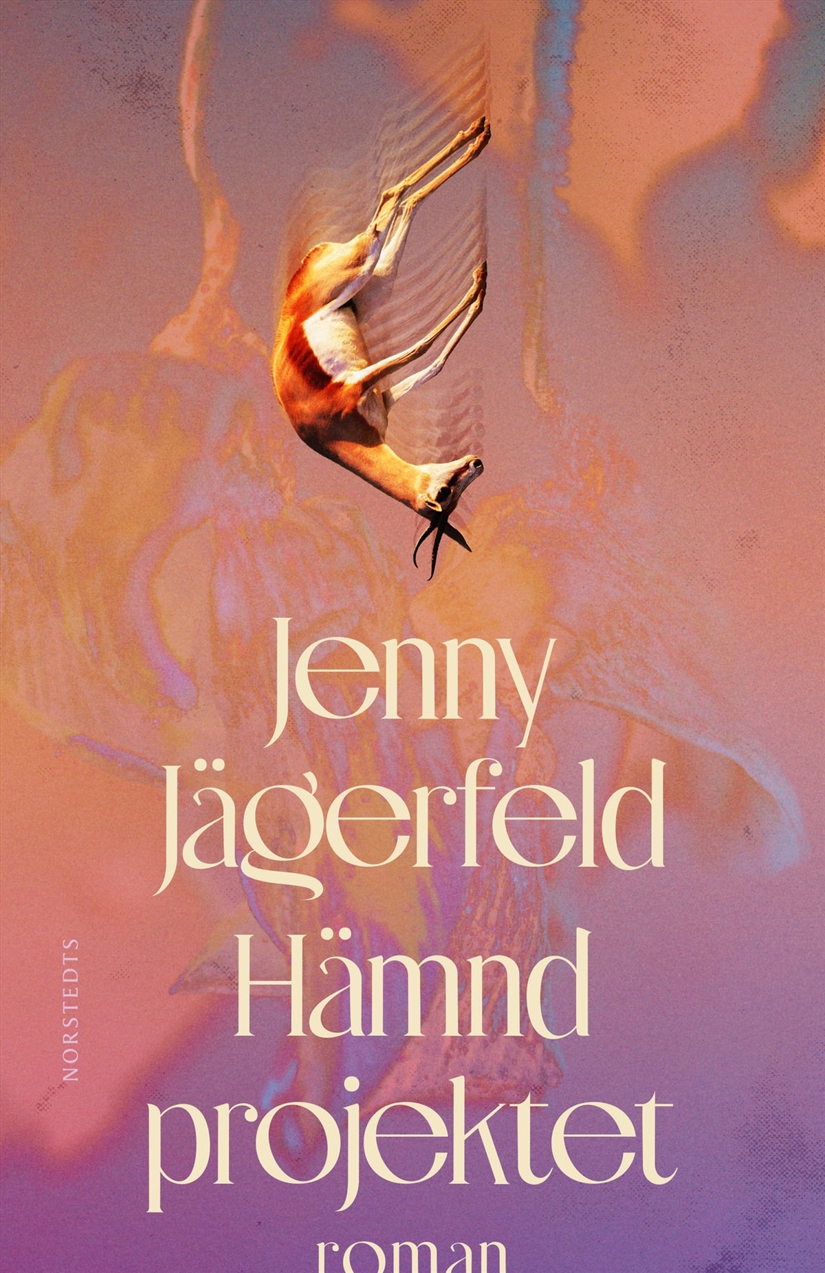 Hämndprojektet – E-bok