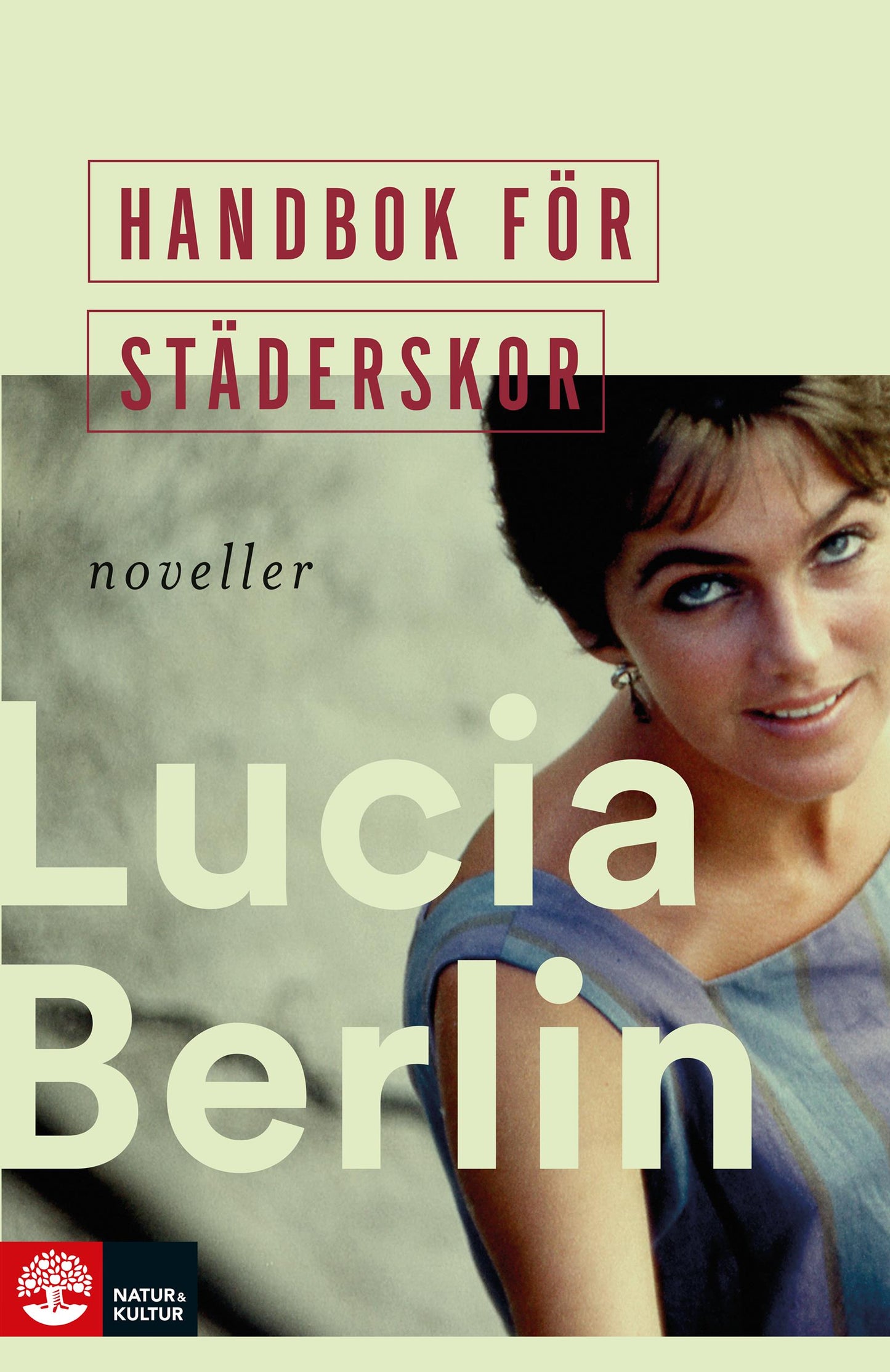 Handbok för städerskor – E-bok