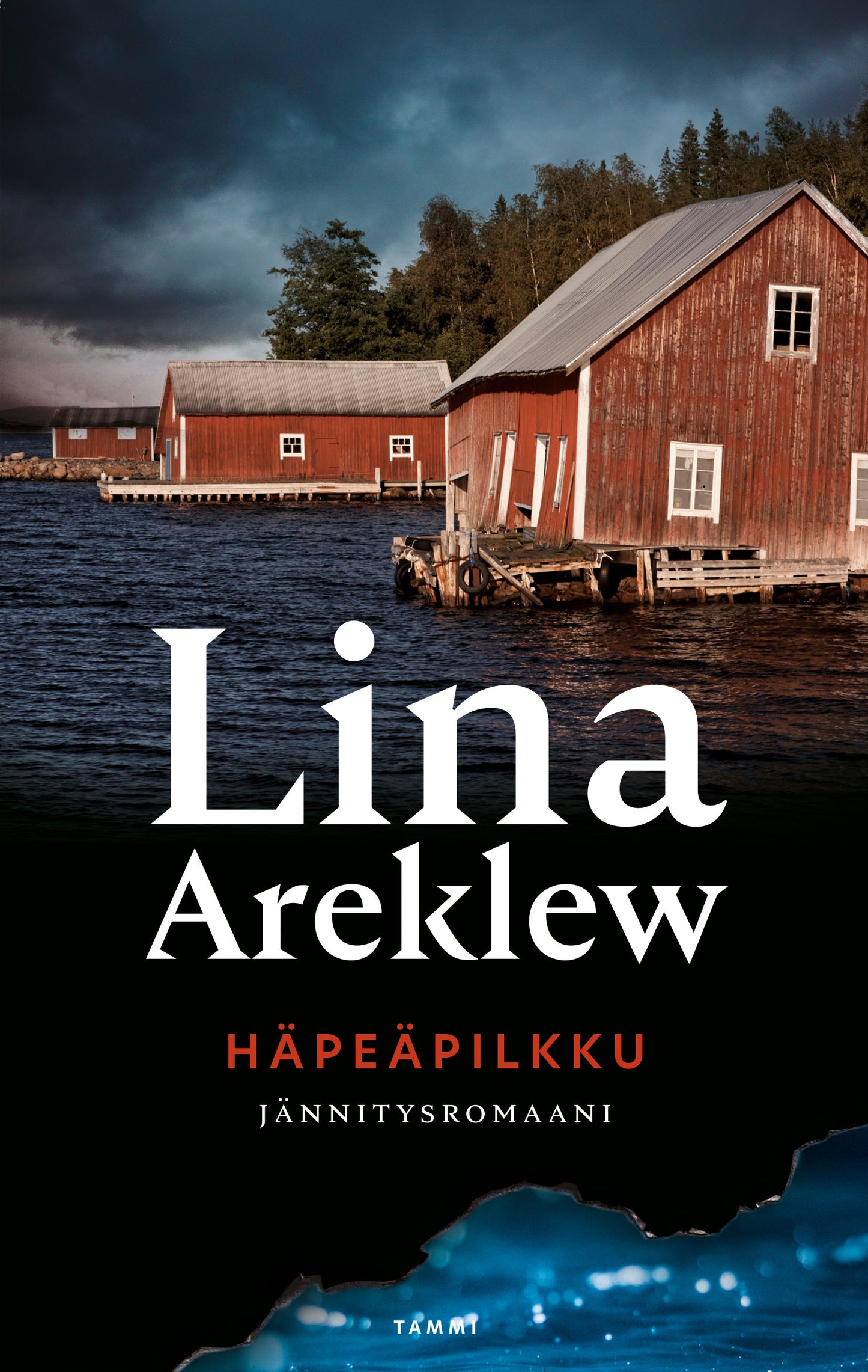 Häpeäpilkku – E-bok
