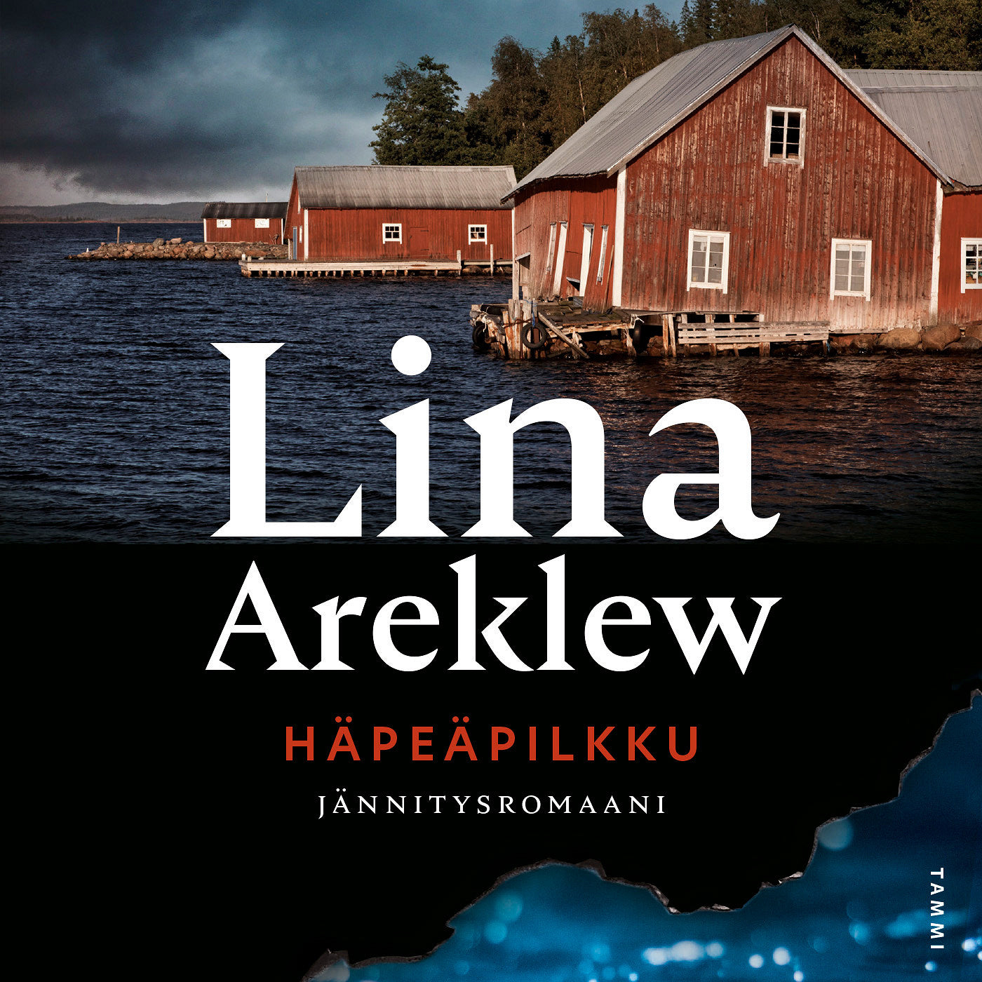 Häpeäpilkku – Ljudbok