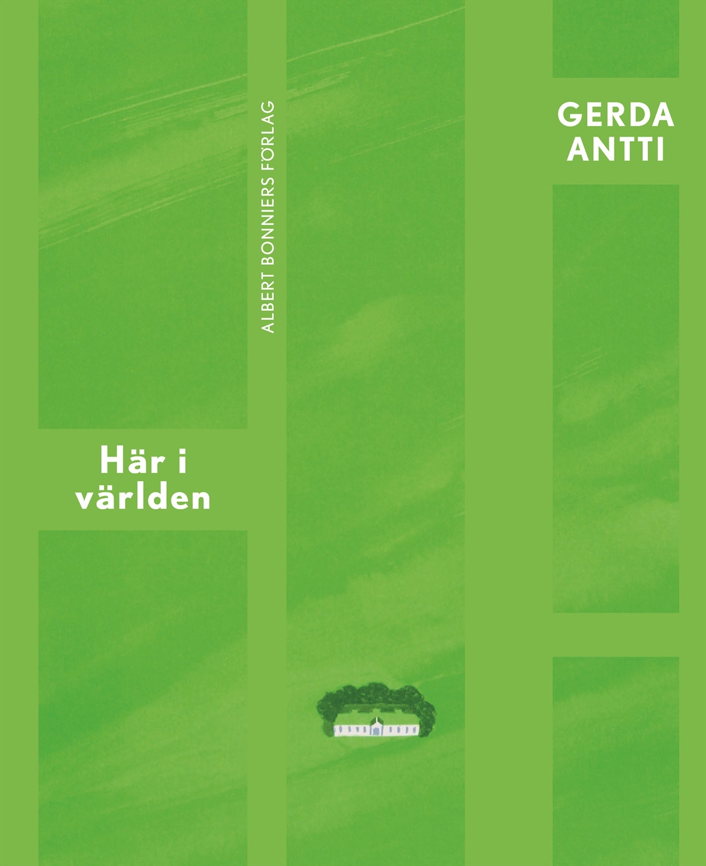 Här i världen – E-bok