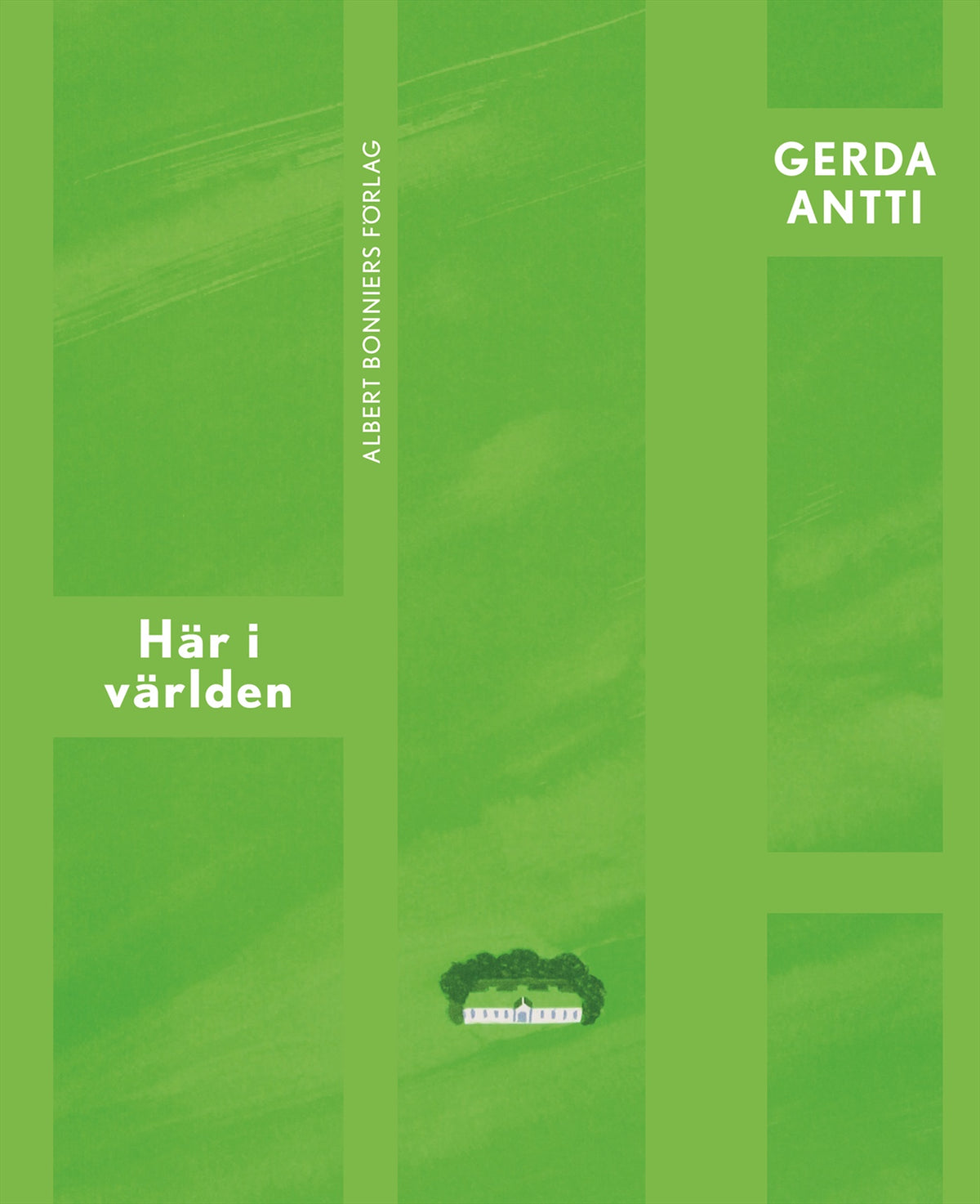 Här i världen – E-bok