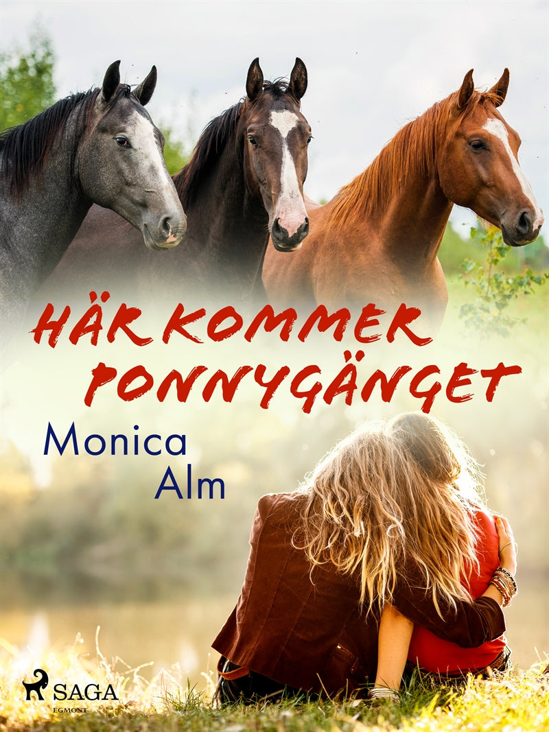 Här kommer Ponnygänget – E-bok