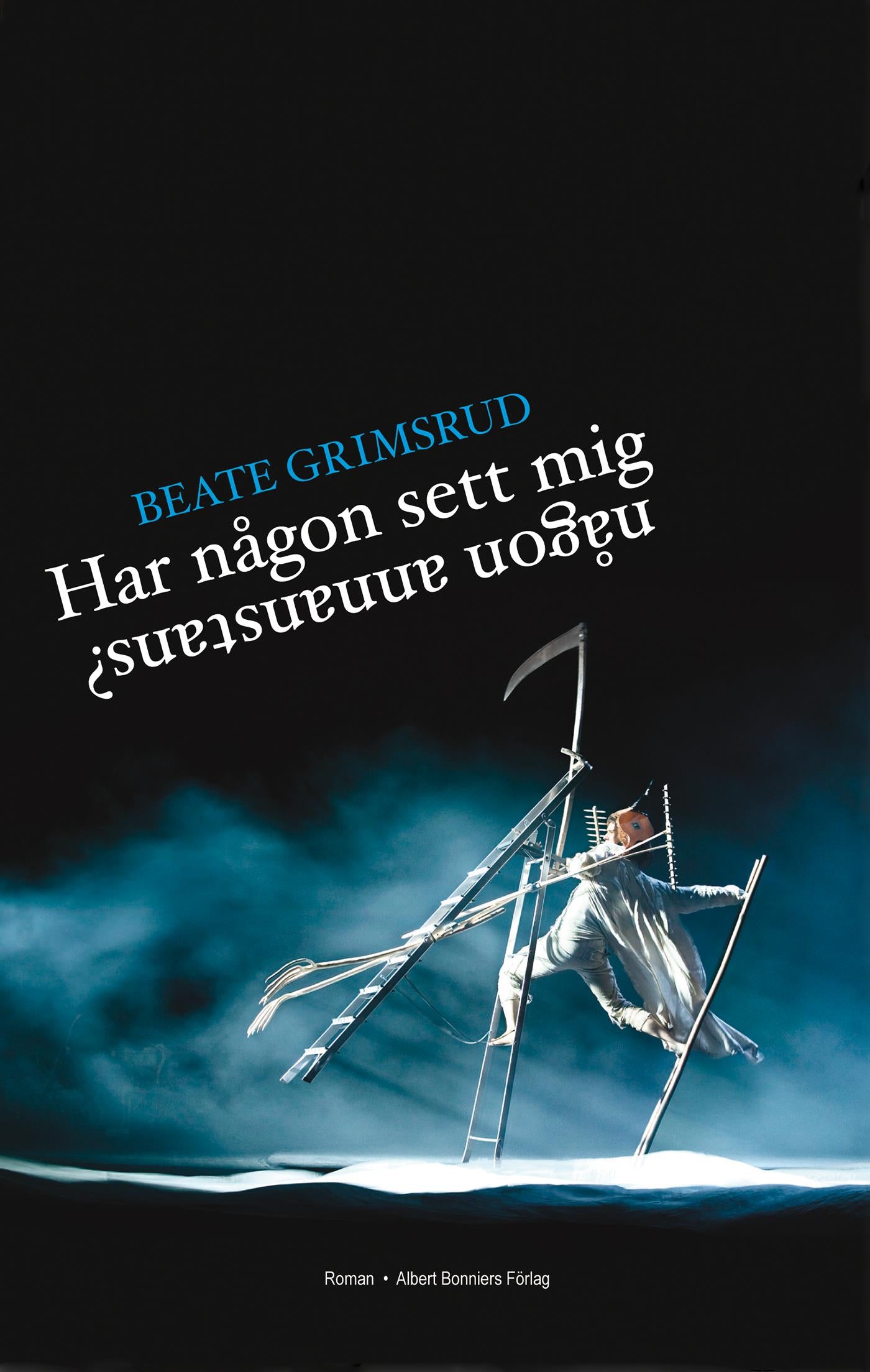 Har någon sett mig någon annanstans? – E-bok