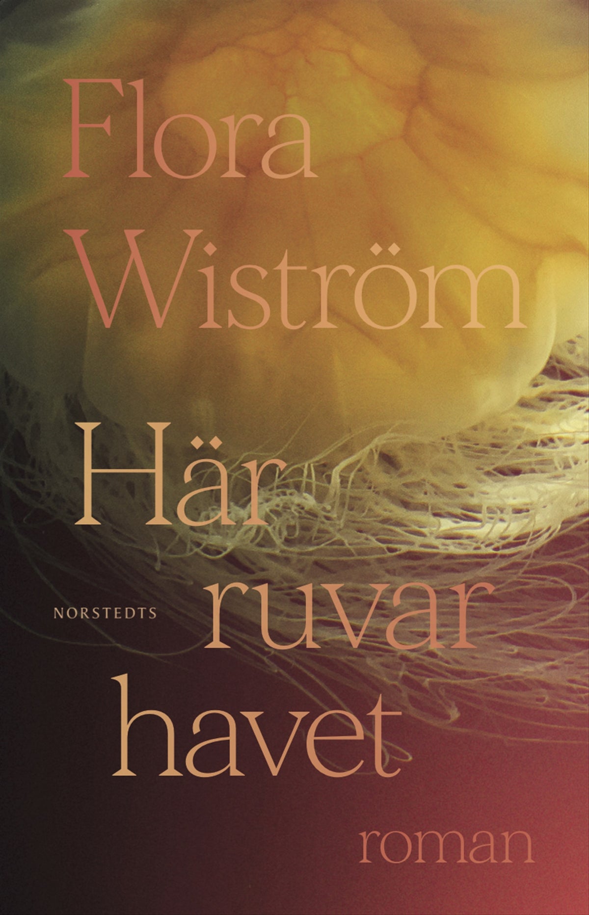 Här ruvar havet – E-bok
