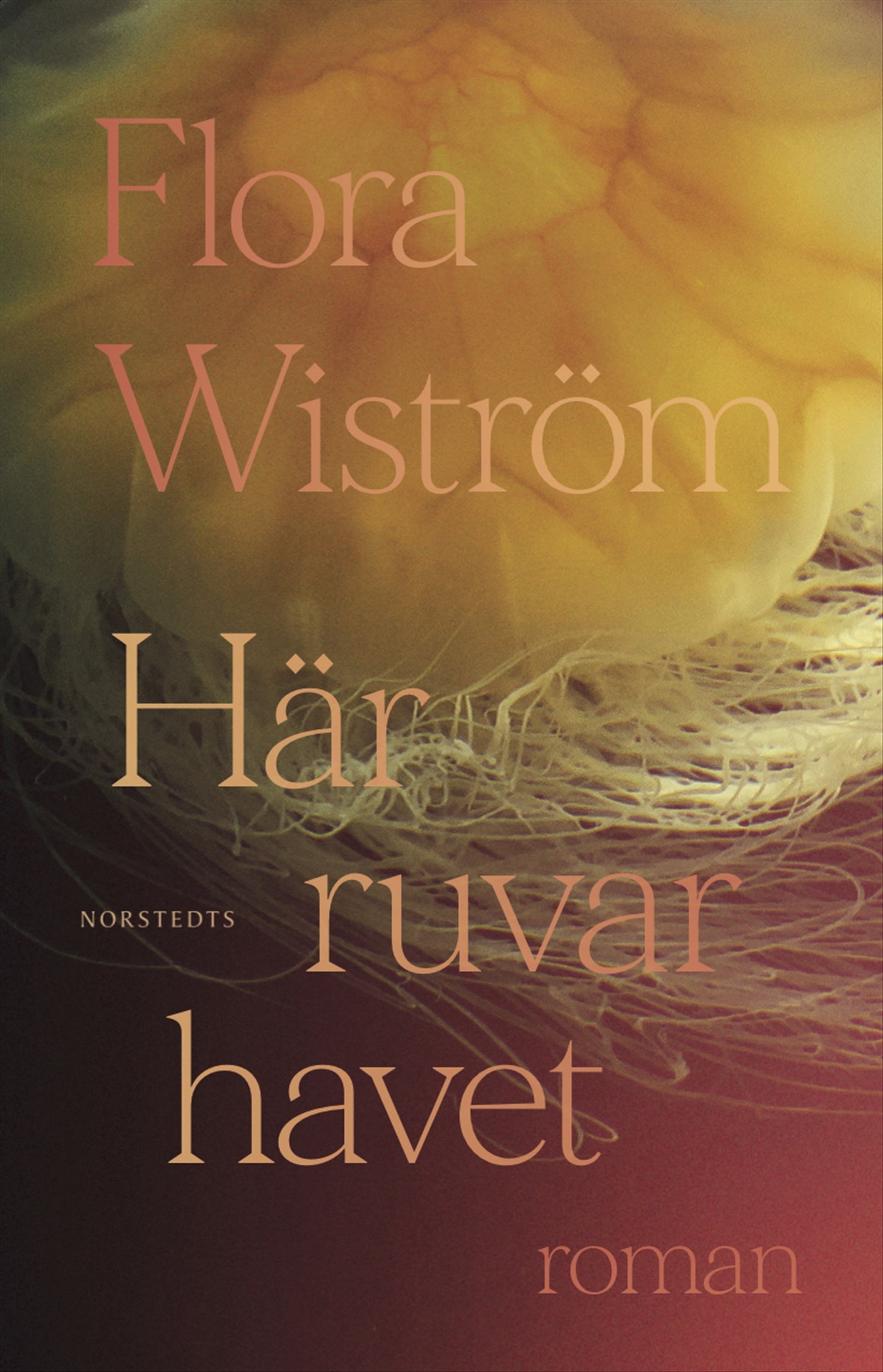 Här ruvar havet – E-bok