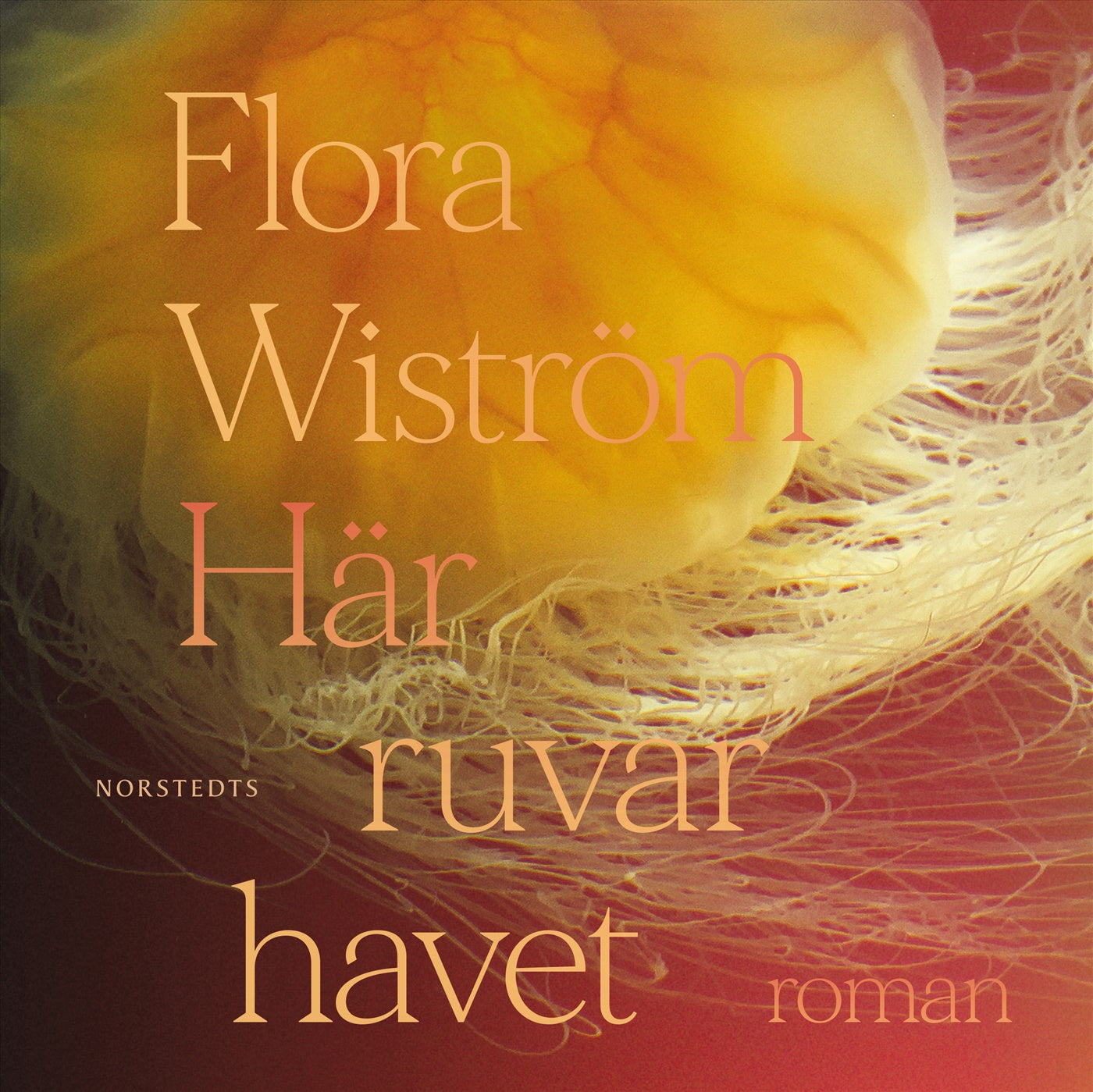 Här ruvar havet – Ljudbok
