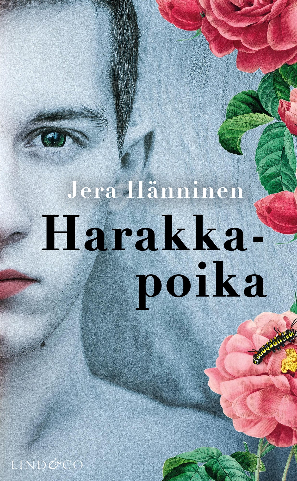 Harakkapoika – E-bok