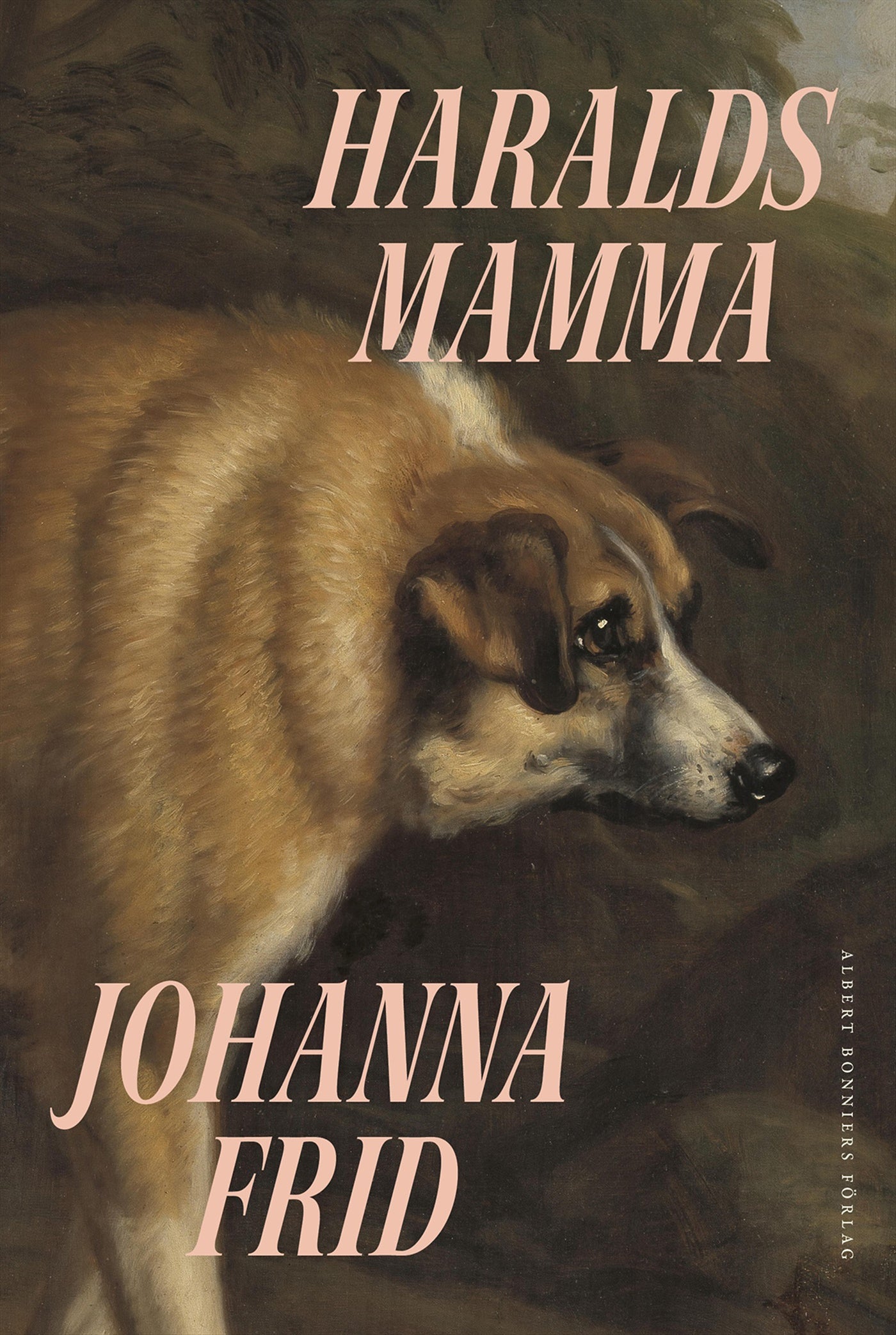 Haralds mamma – E-bok