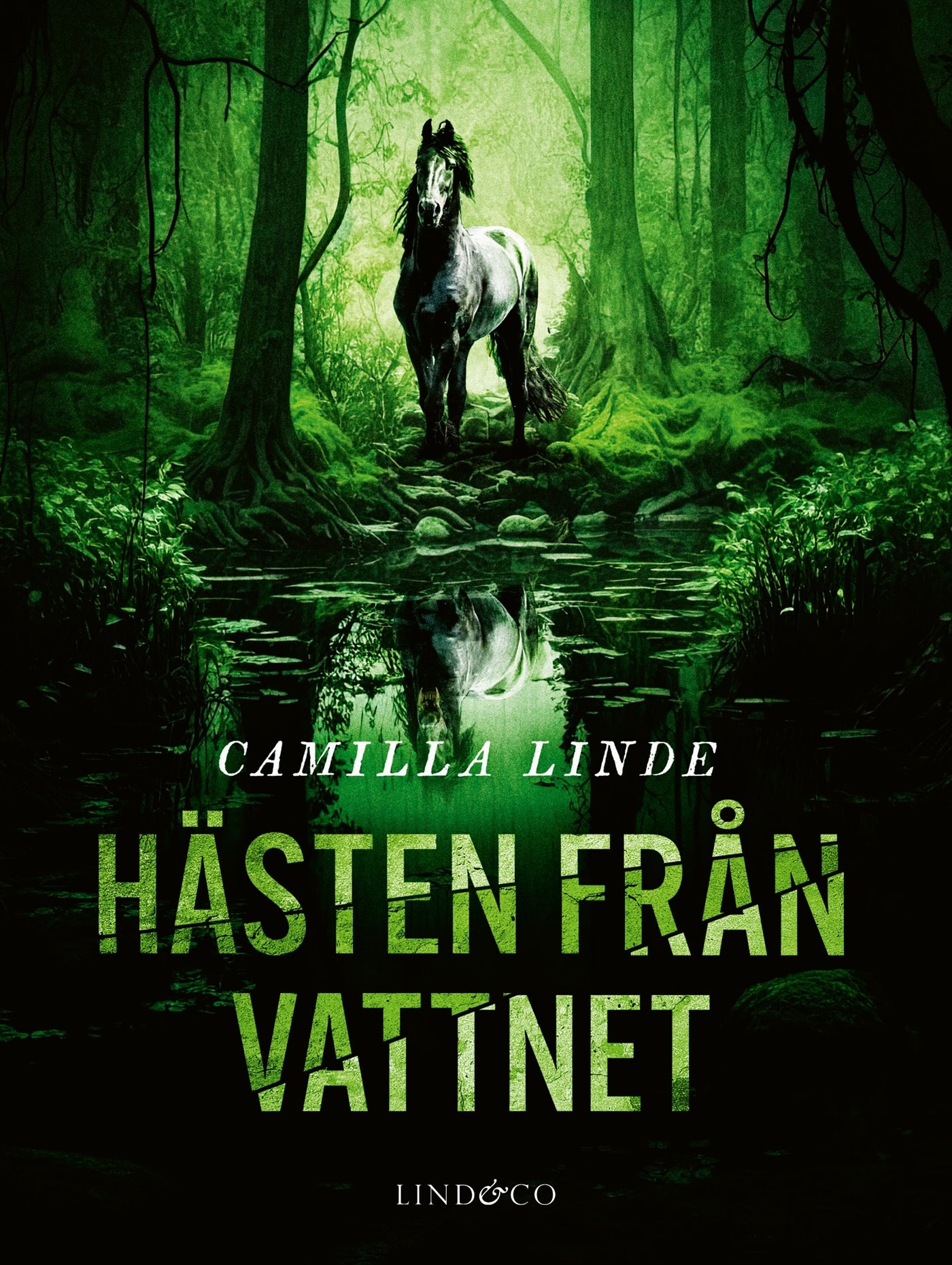 Hästen från vattnet – E-bok
