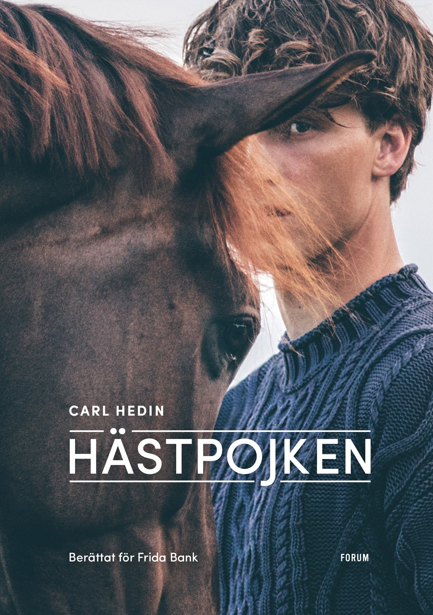 Hästpojken – E-bok