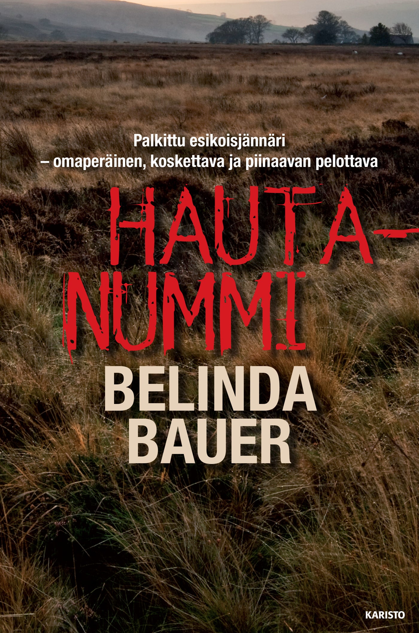 Hautanummi – E-bok