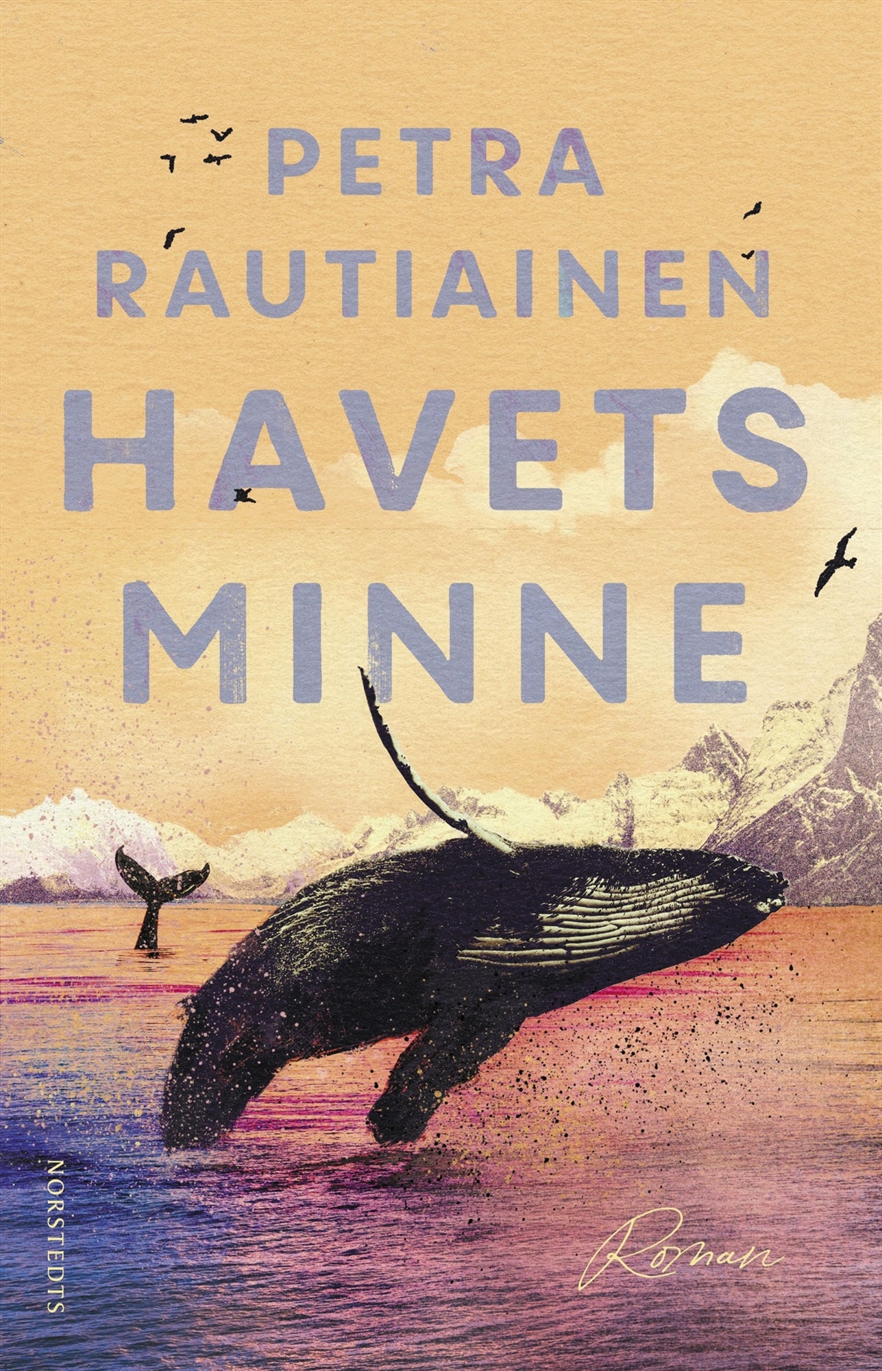 Havets minne – E-bok