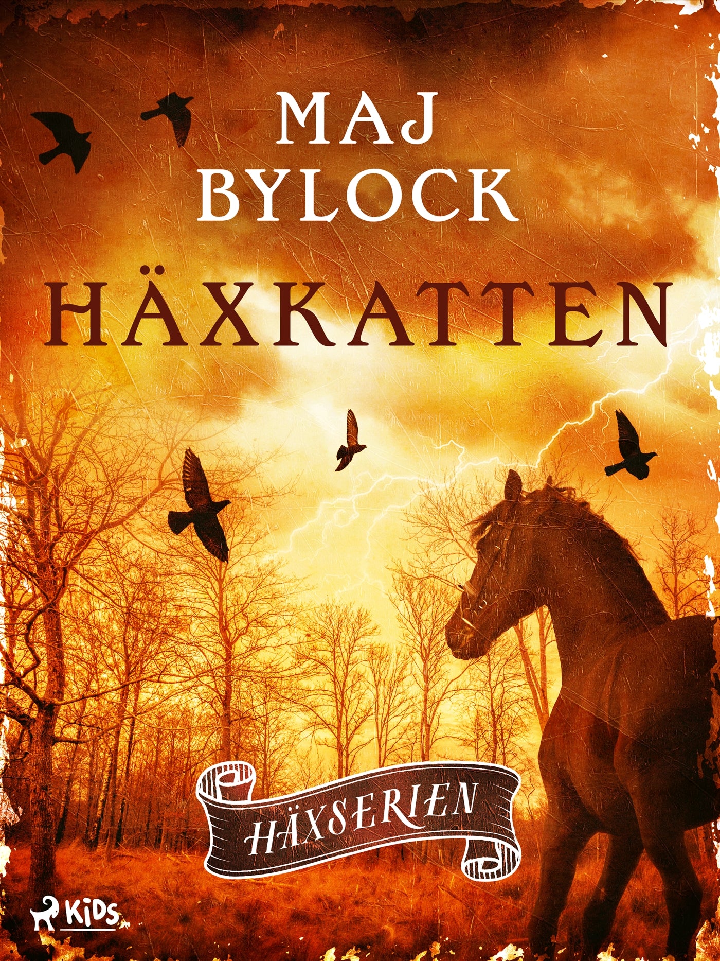 Häxkatten – E-bok