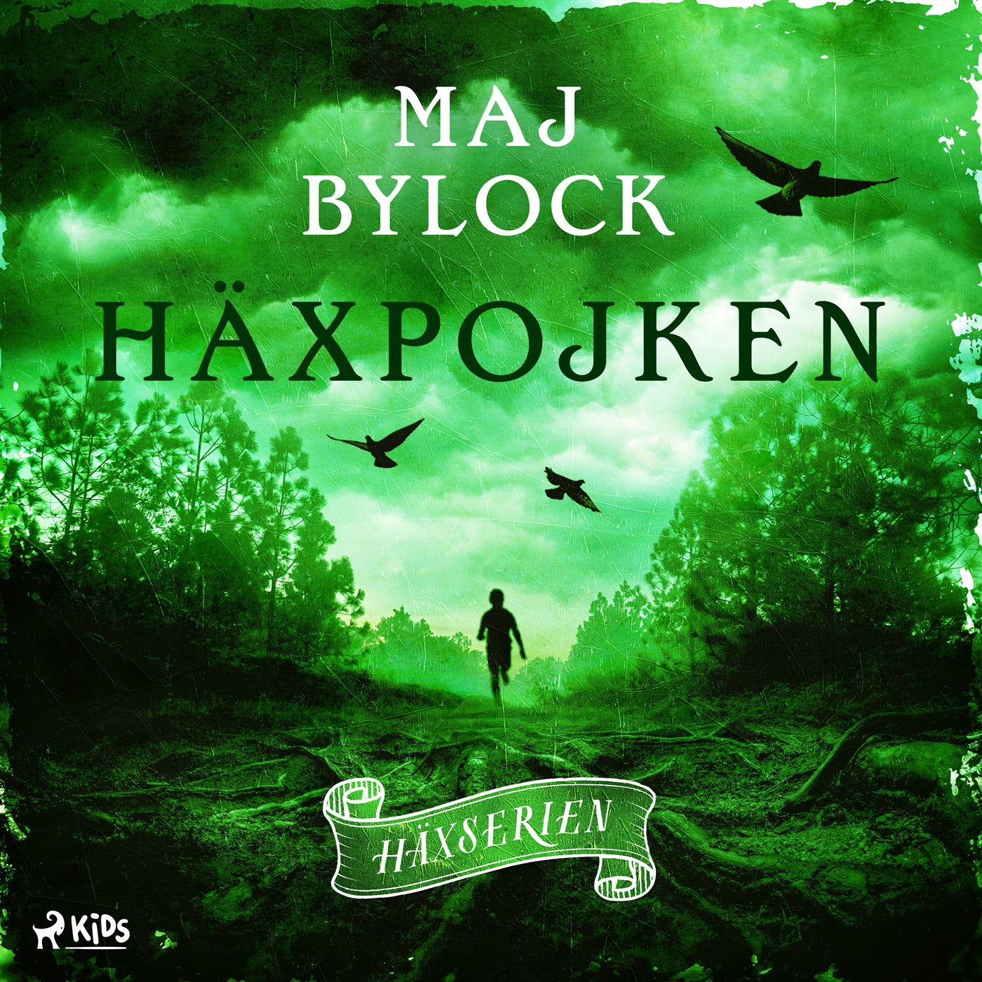 Häxpojken – Ljudbok