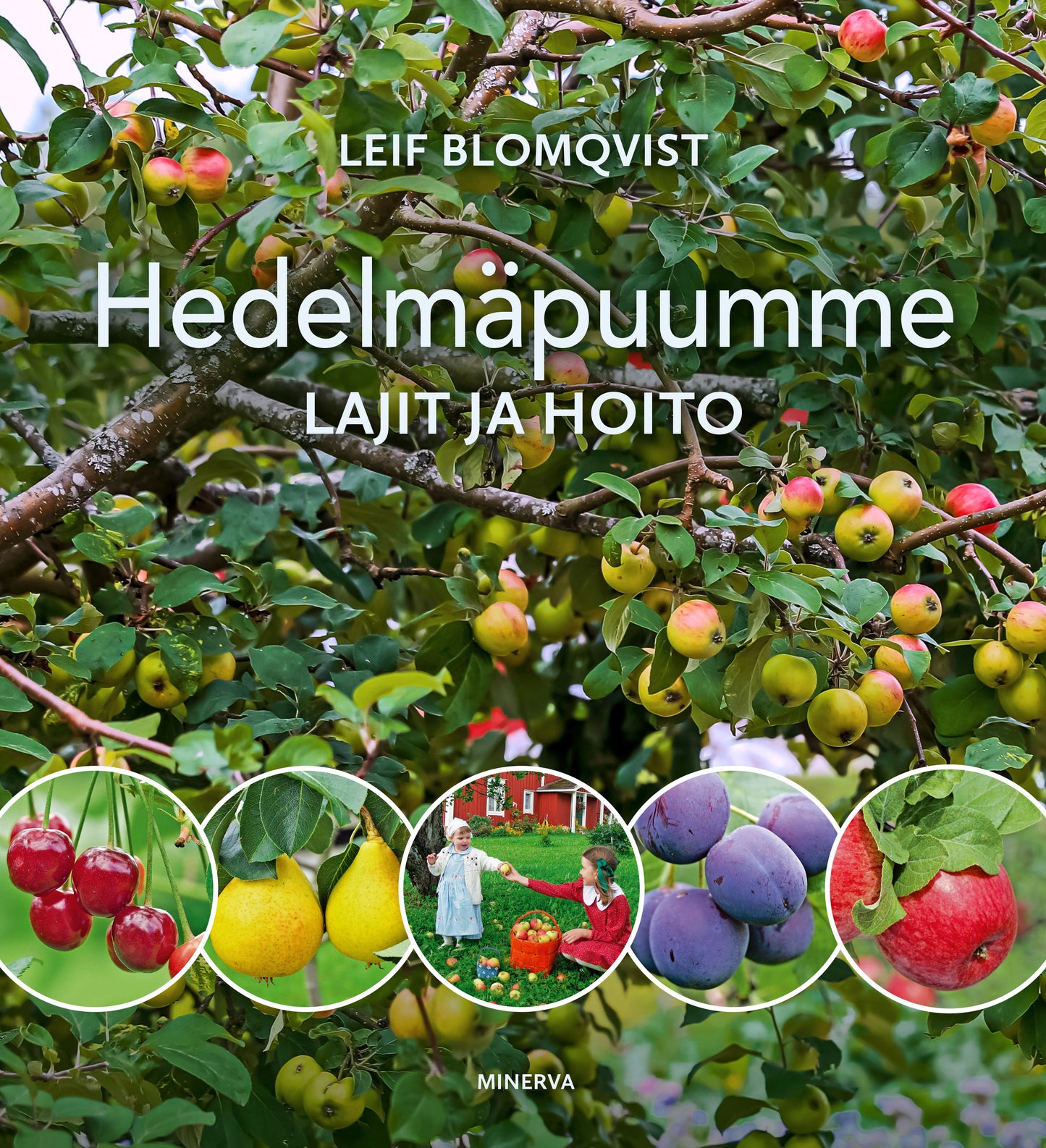 Hedelmäpuumme – E-bok