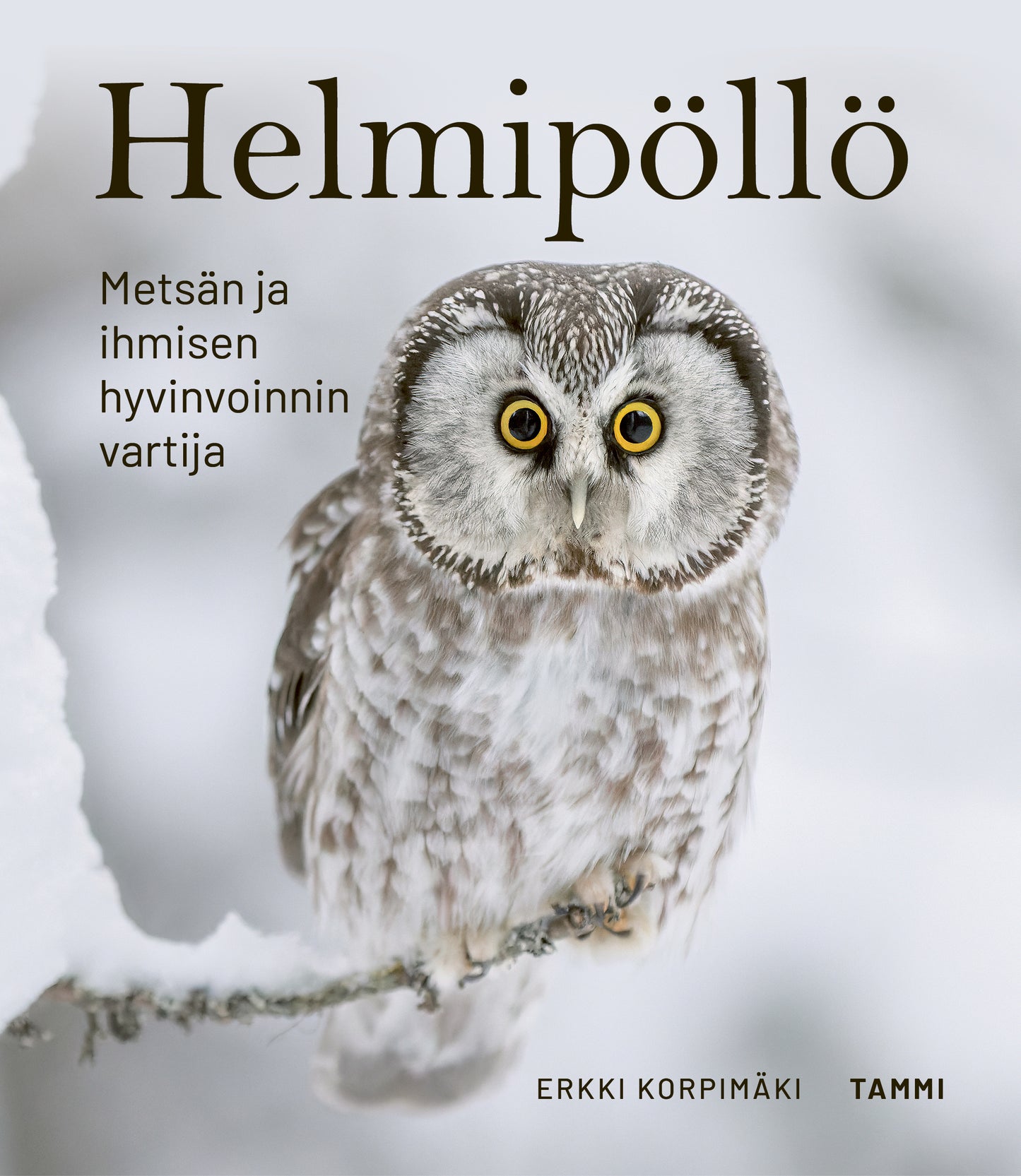 Helmipöllö – E-bok