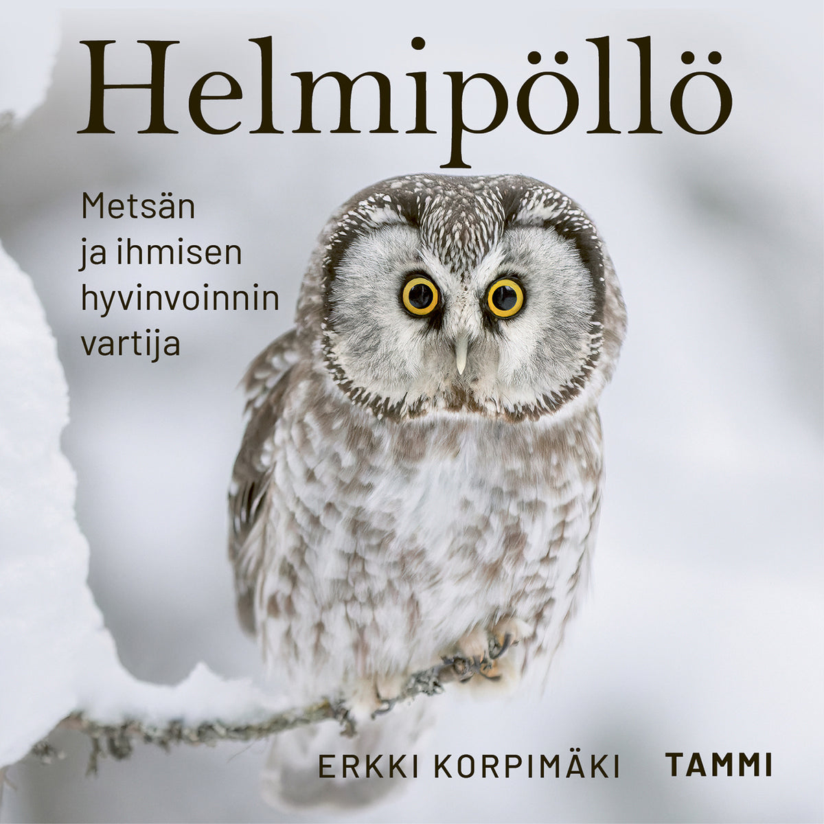 Helmipöllö – Ljudbok