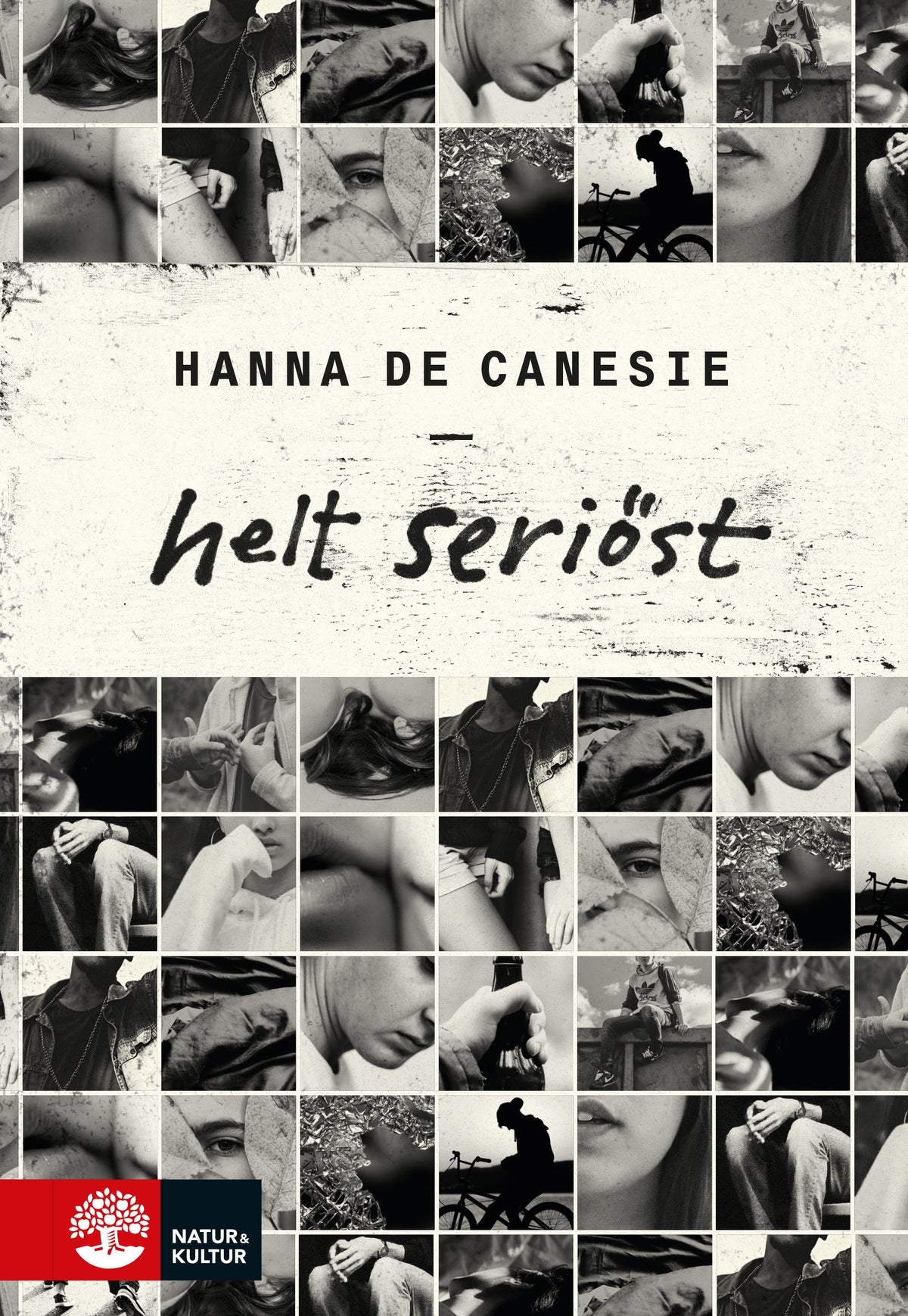 Helt seriöst – E-bok