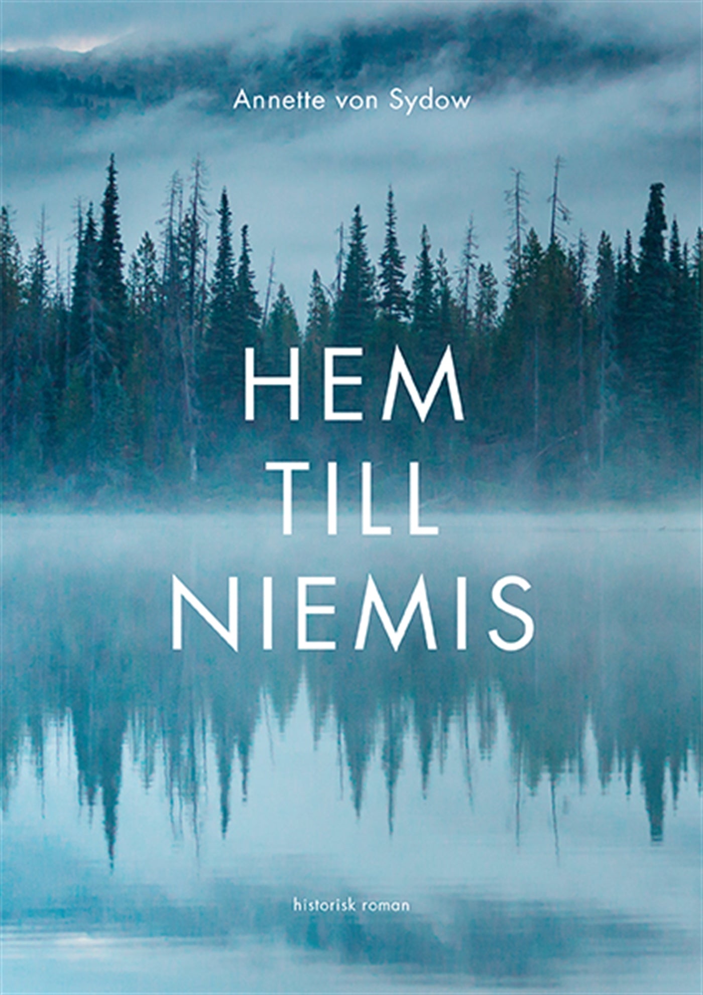 Hem till Niemis – E-bok