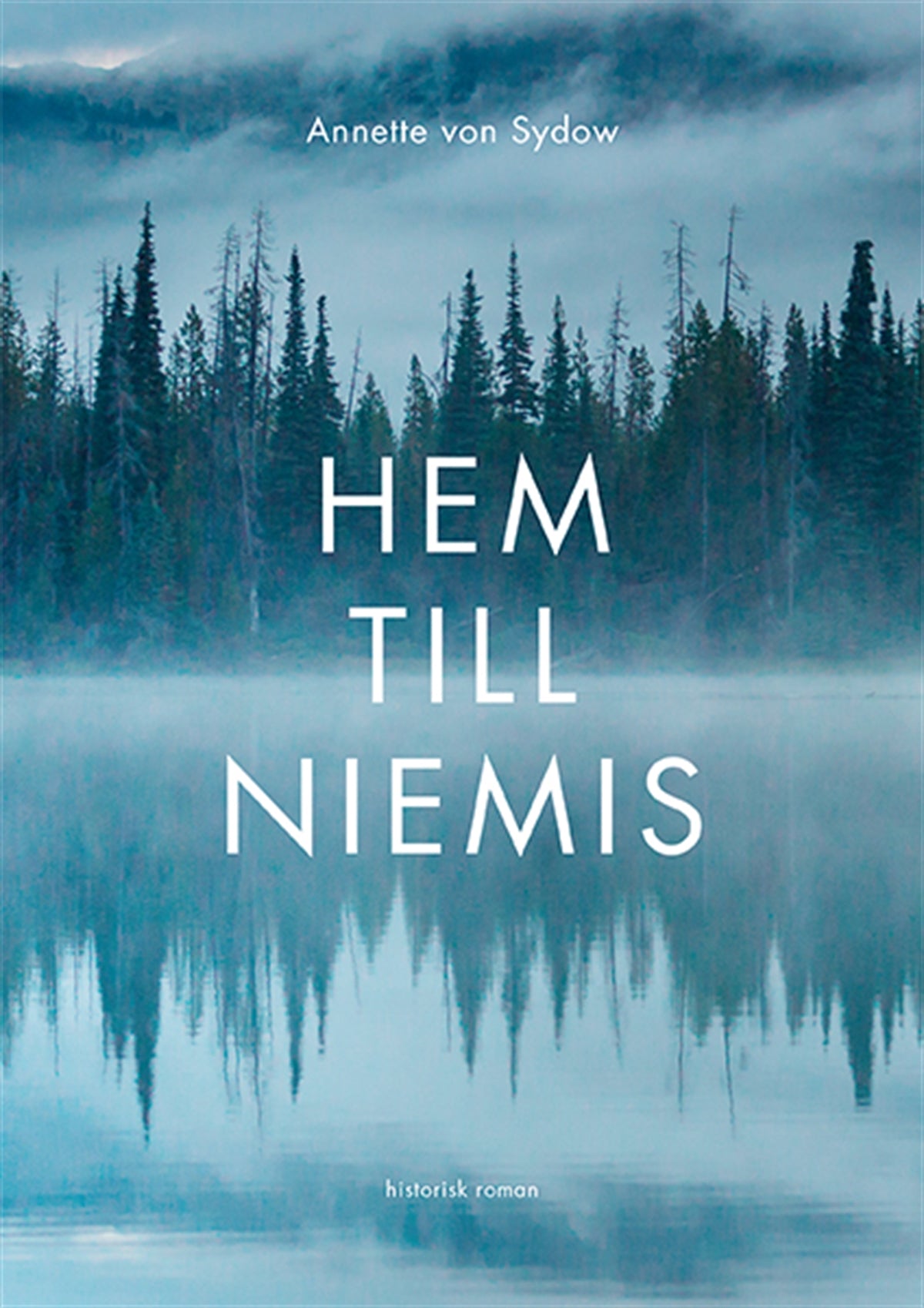 Hem till Niemis – E-bok