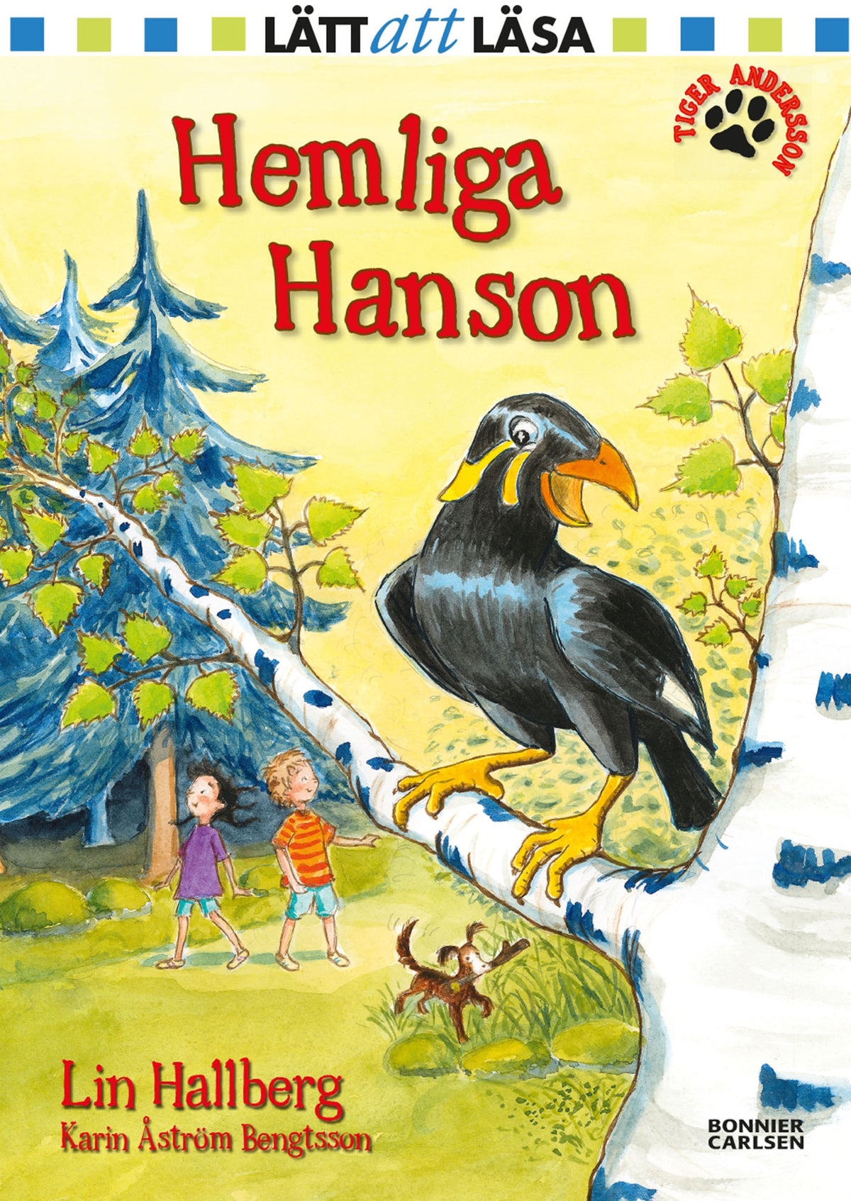Hemliga Hanson – E-bok