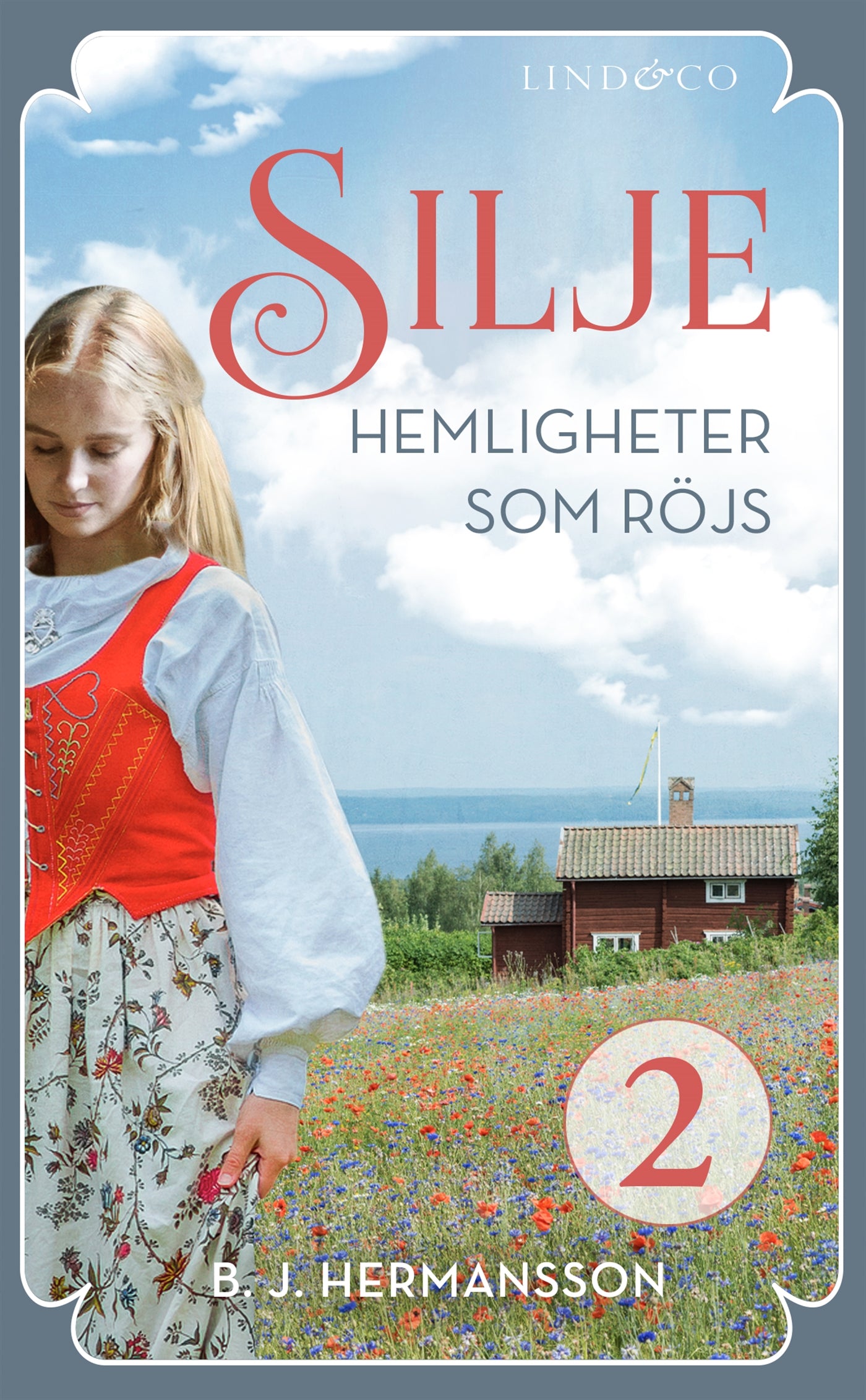 Hemligheter som röjs – E-bok