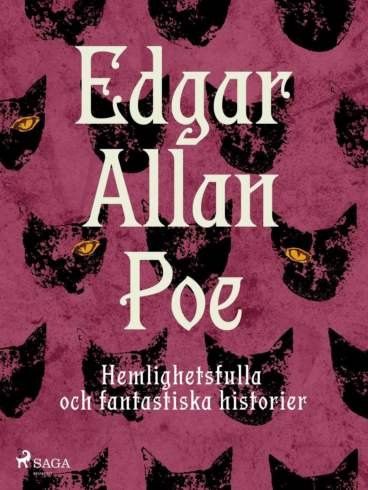 Hemlighetsfulla och fantastiska historier – E-bok
