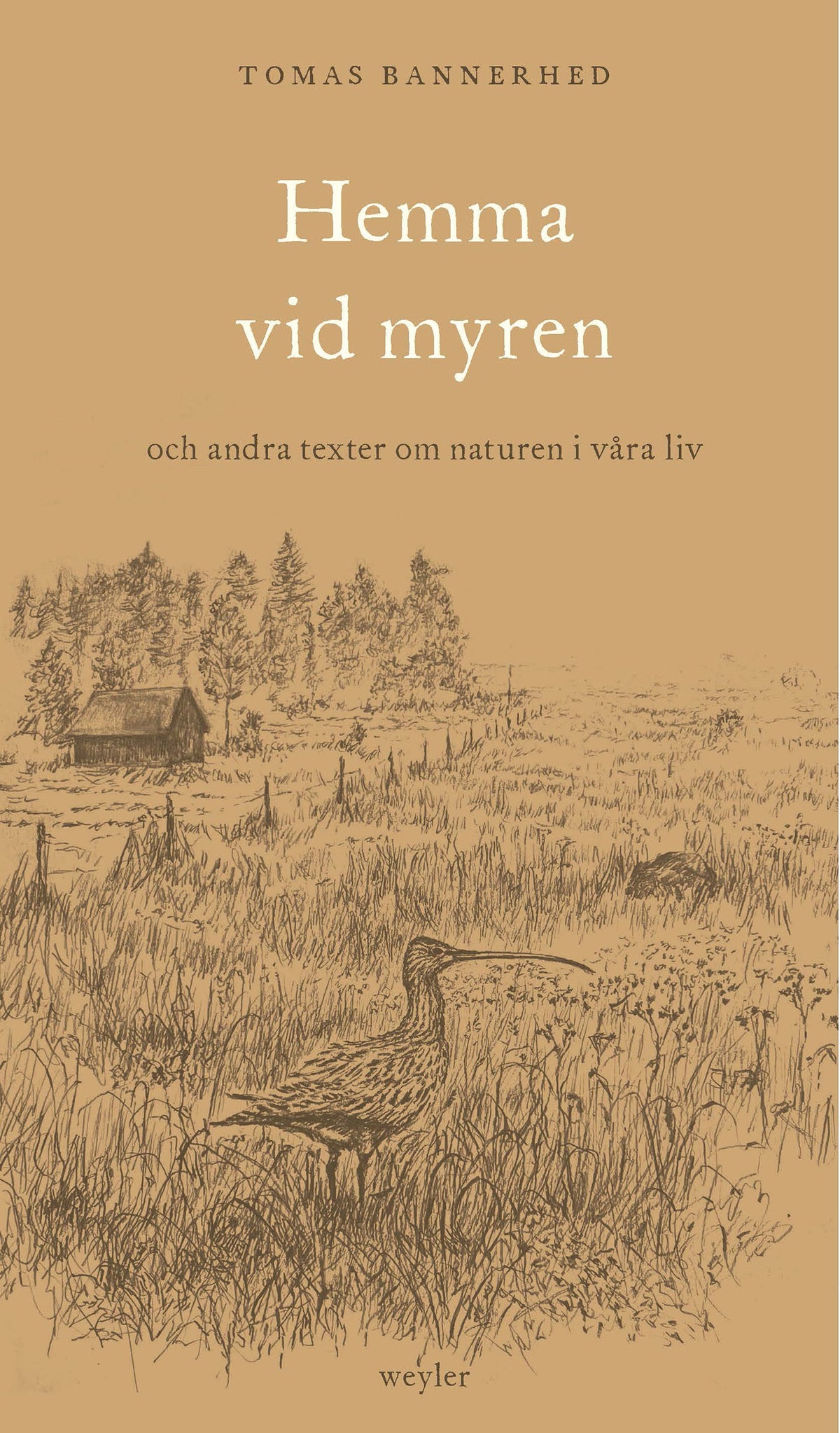 Hemma vid myren : och andra texter om naturen i våra liv – E-bok