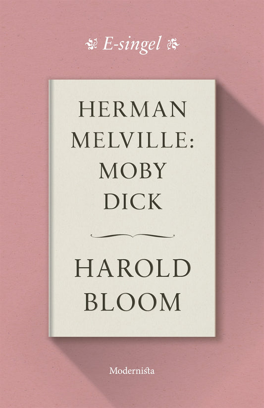 Herman Melville: Moby Dick – E-bok