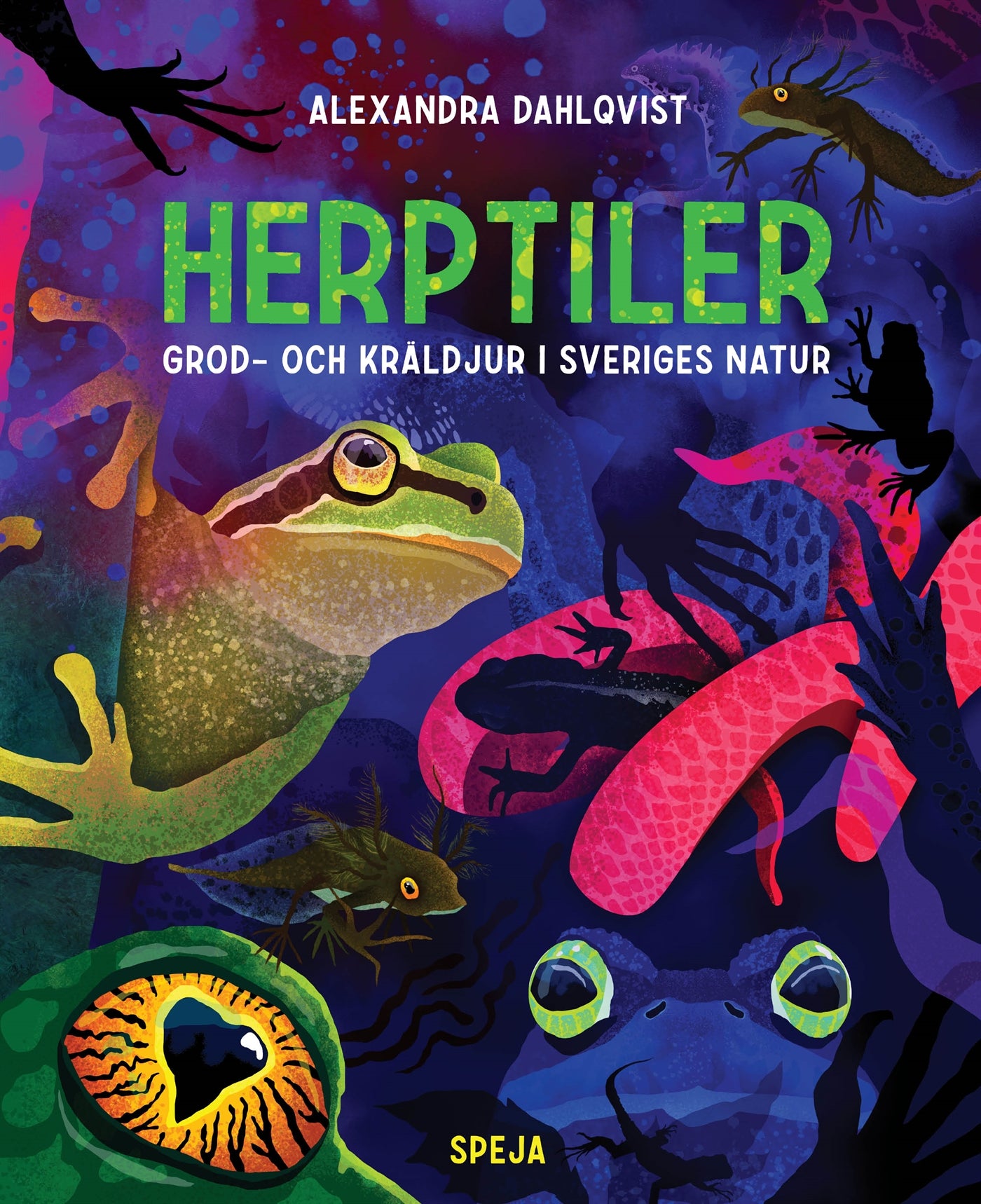 Herptiler : grod- och kräldjur i Sveriges natur – E-bok