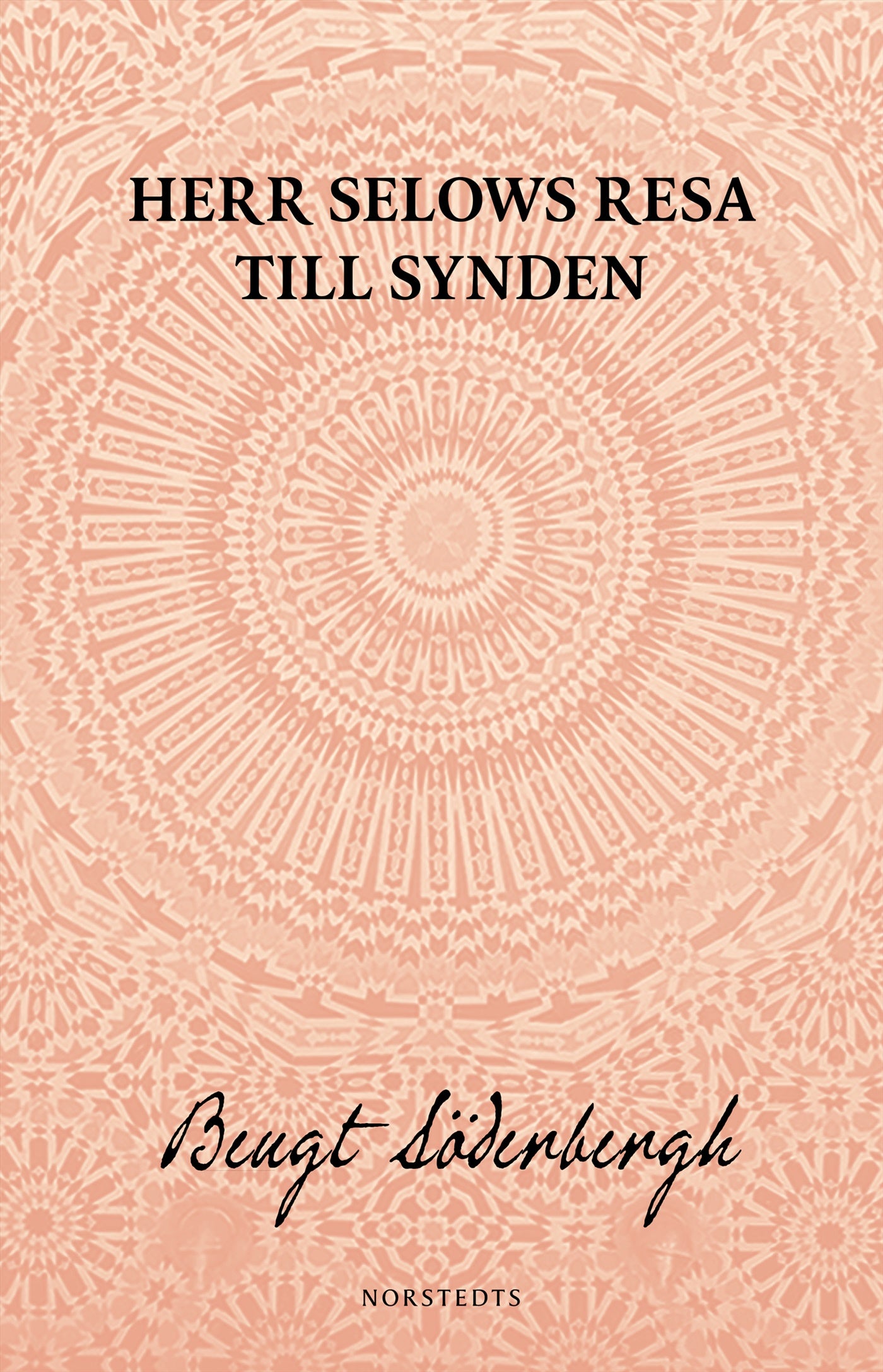 Herr Selows resa till synden – E-bok