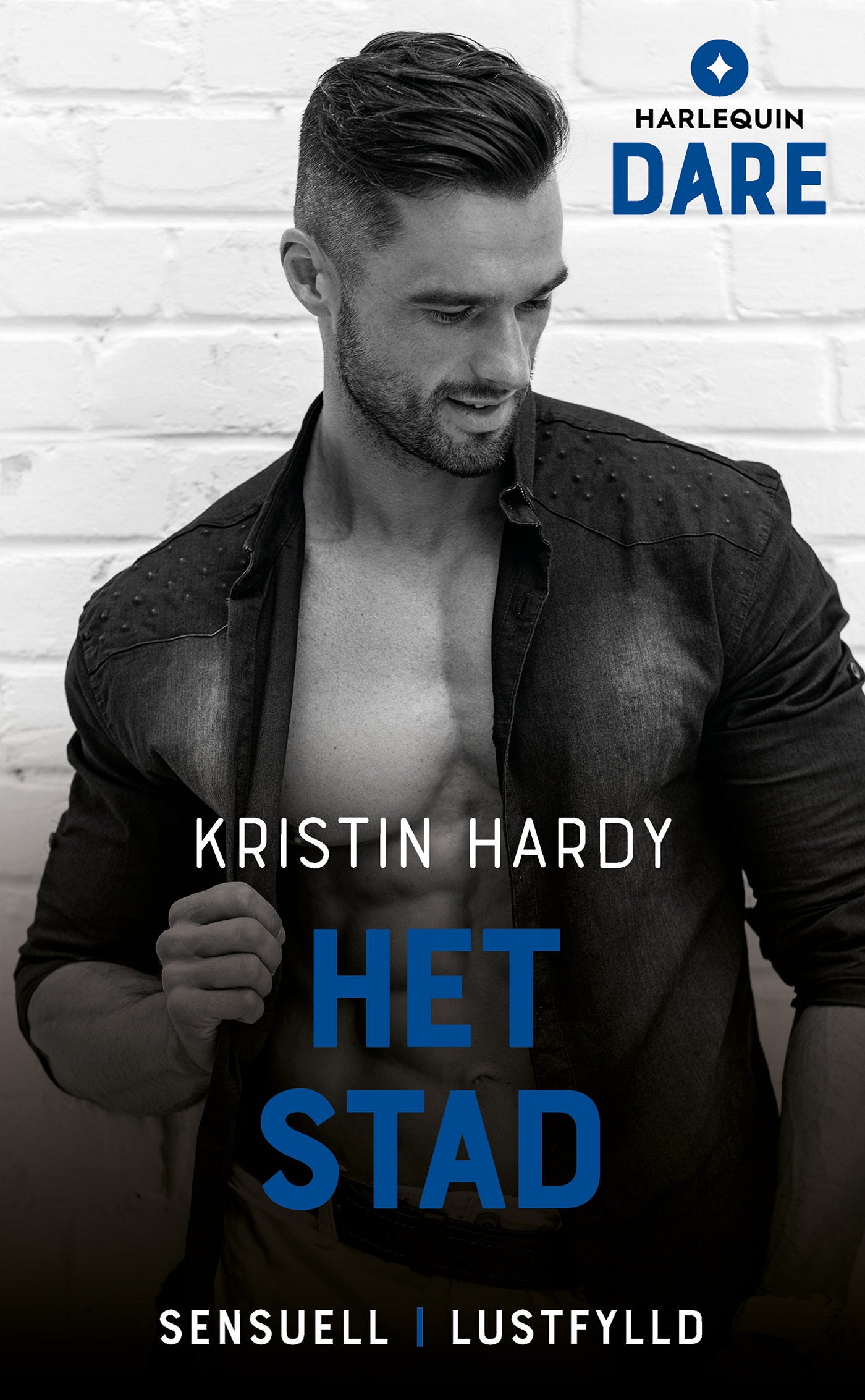 Het stad – E-bok