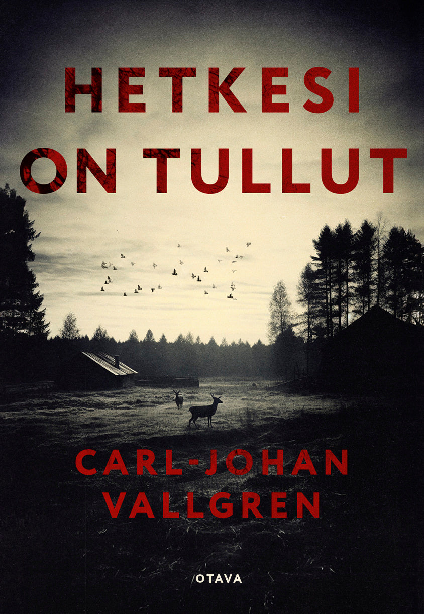 Hetkesi on tullut – E-bok