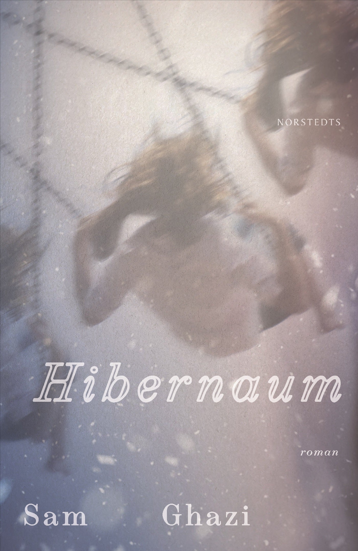 Hibernaum – E-bok