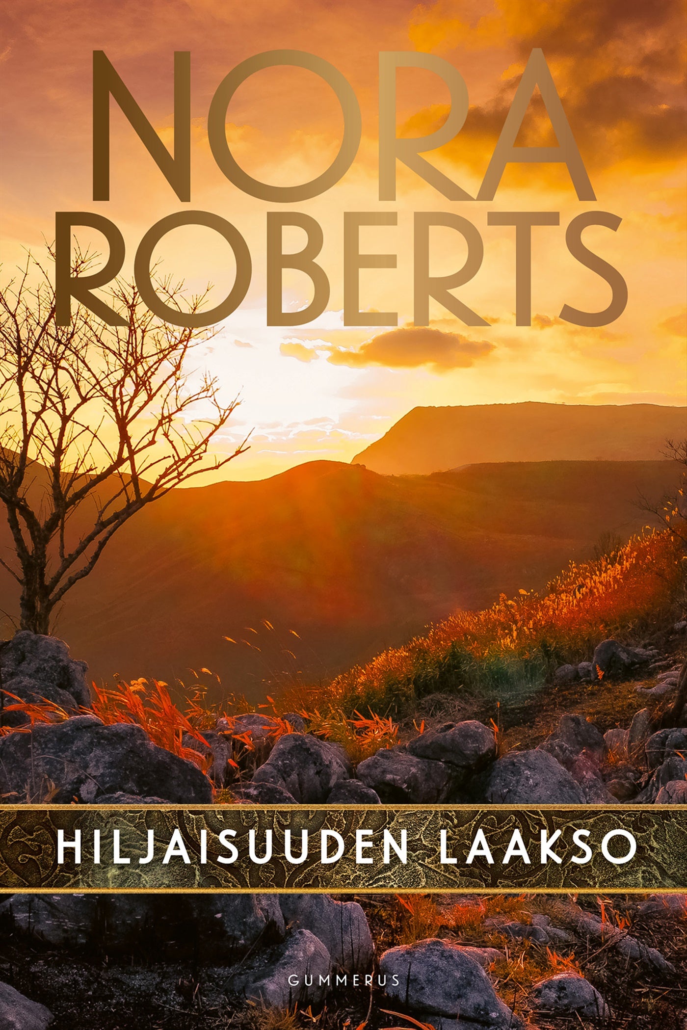 Hiljaisuuden laakso – E-bok