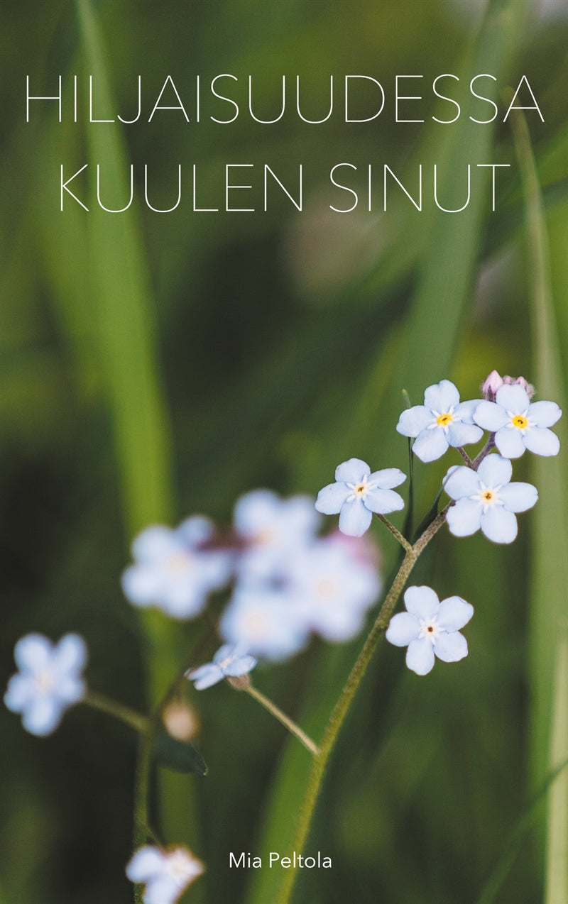 Hiljaisuudessa kuulen sinut – E-bok